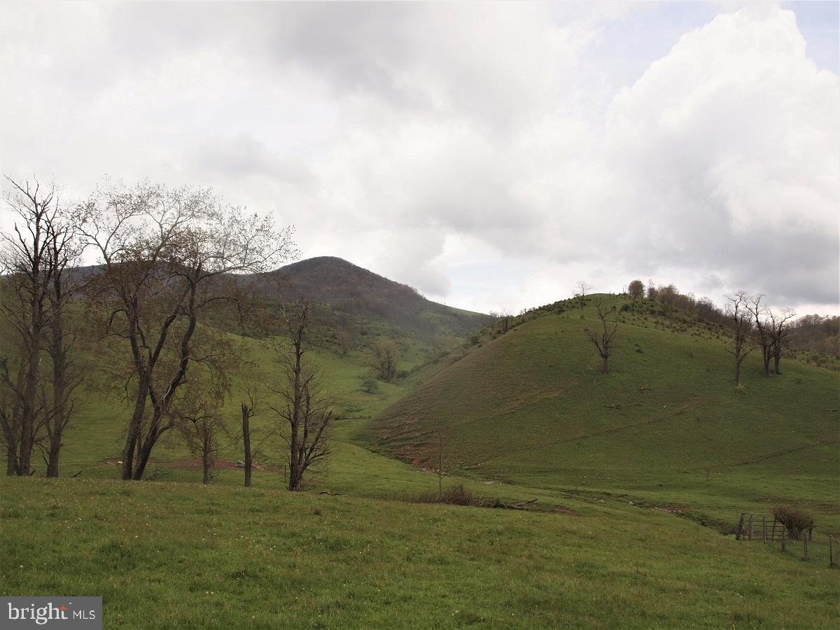 3465 HARDSCRABBLE ROAD