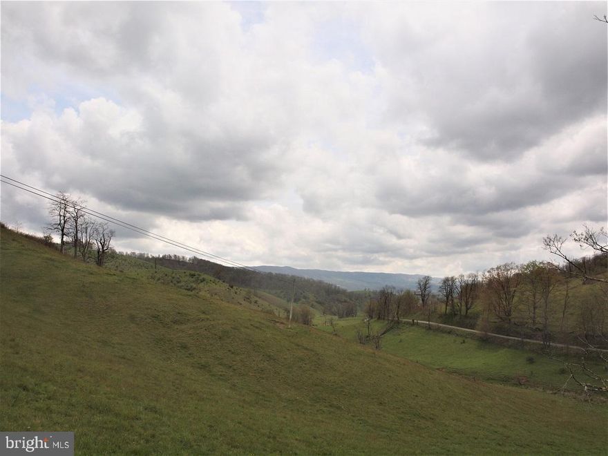 Superb Blue Grass Valley pasture. Barn on property and Cattle scales. Several year round Springs, hunting, high speed internet, electric, 1.3 miles of public road frontage.  Awesome view of Blue Grass Valley. Old Farmhouse on property, but in very poor condition.