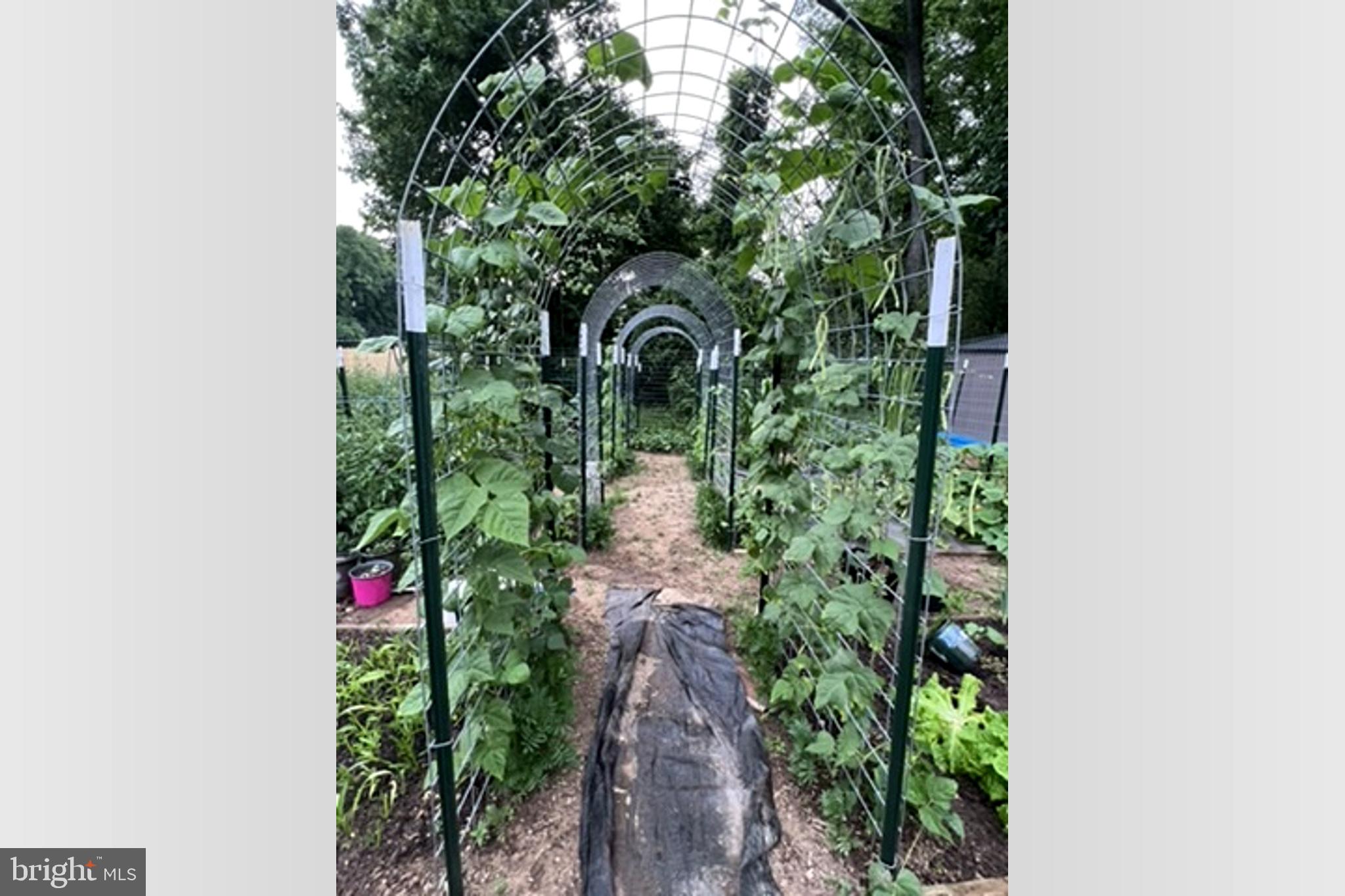 FIELDS OF HARVEST - Residential