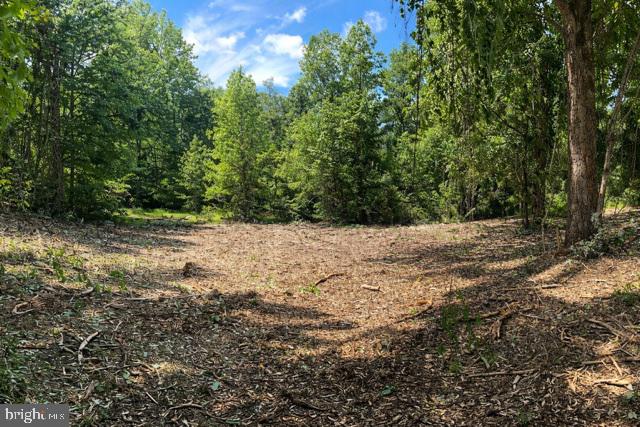 3934 KIRKWOOD SAINT GEORGES