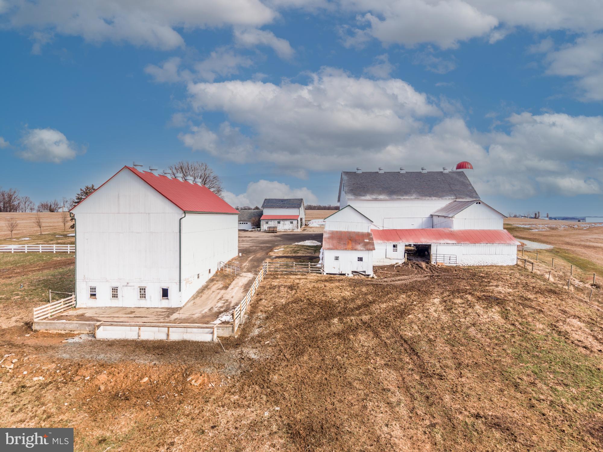 LITTLE BRITAIN - Farm
