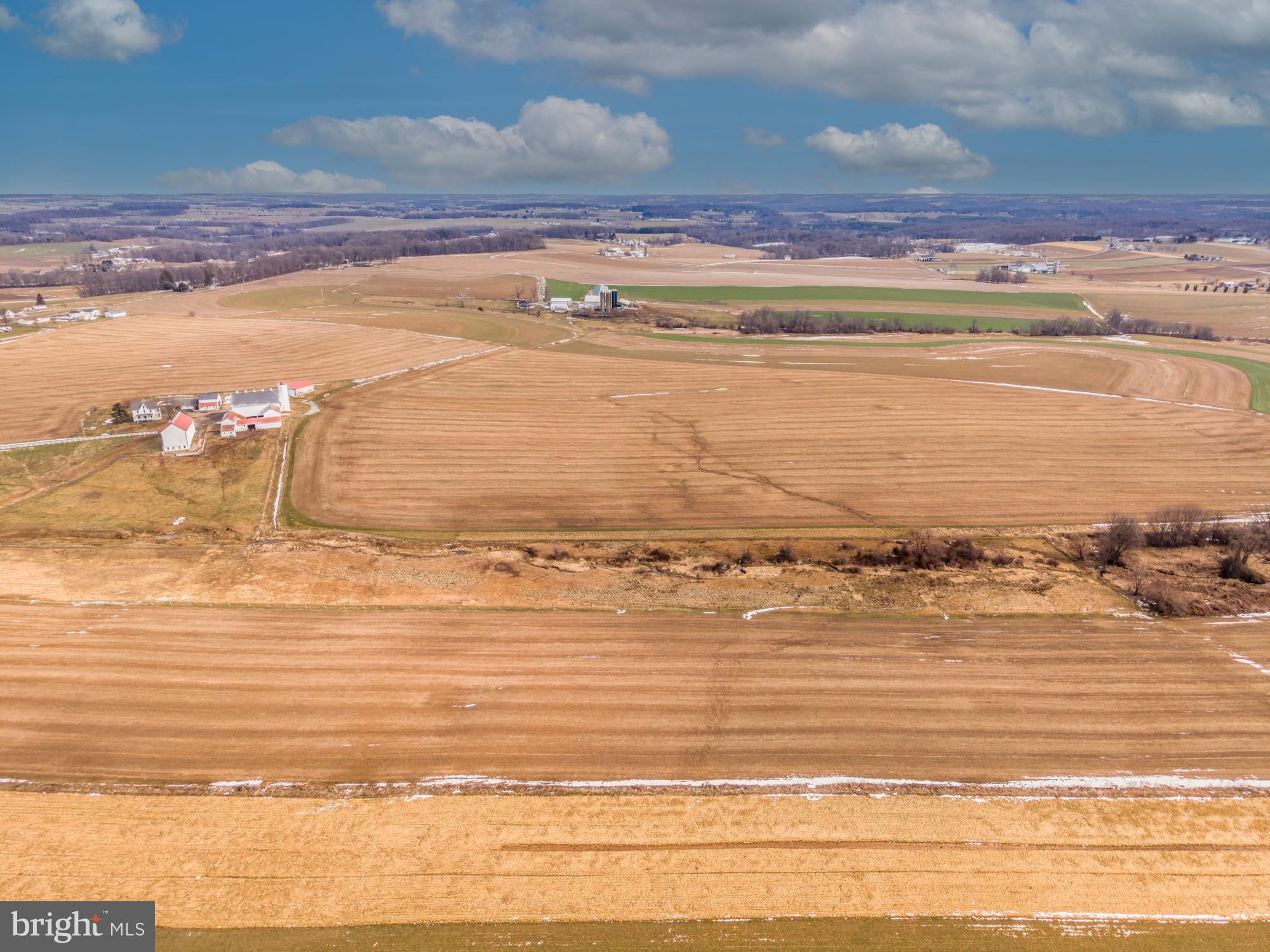 LITTLE BRITAIN - Farm