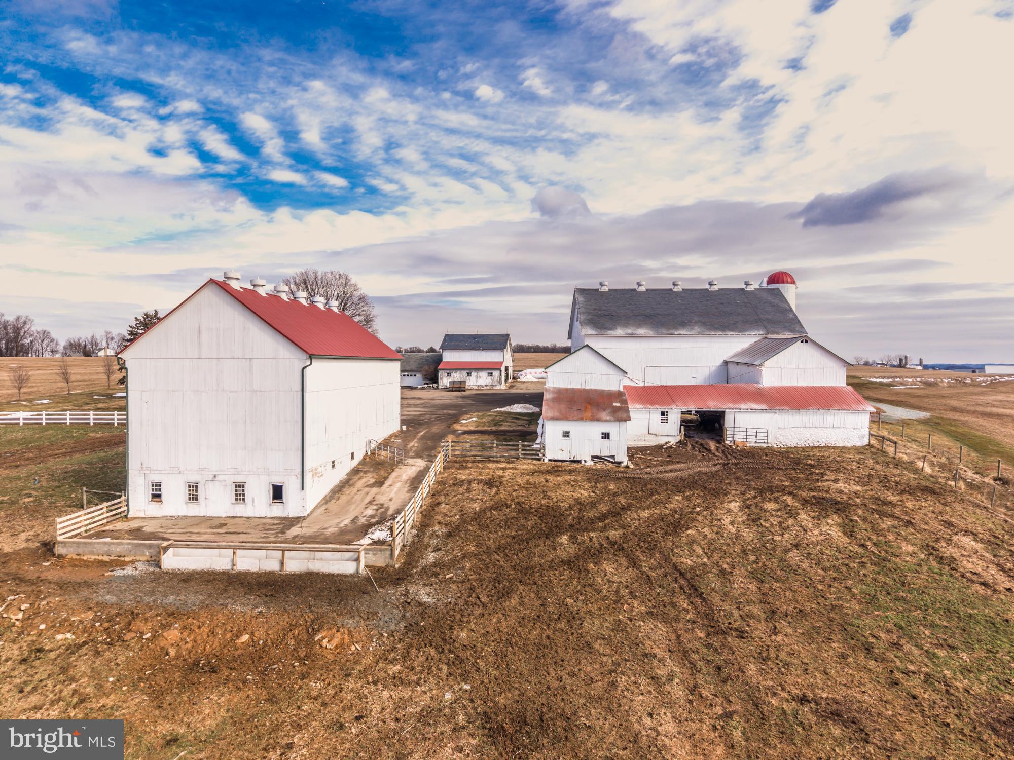 LITTLE BRITAIN - Farm