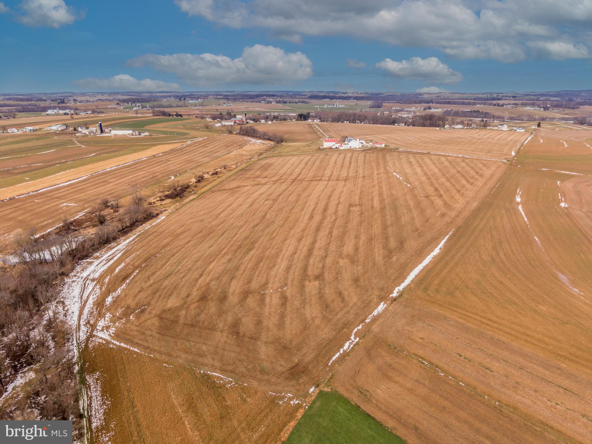 LITTLE BRITAIN - Farm