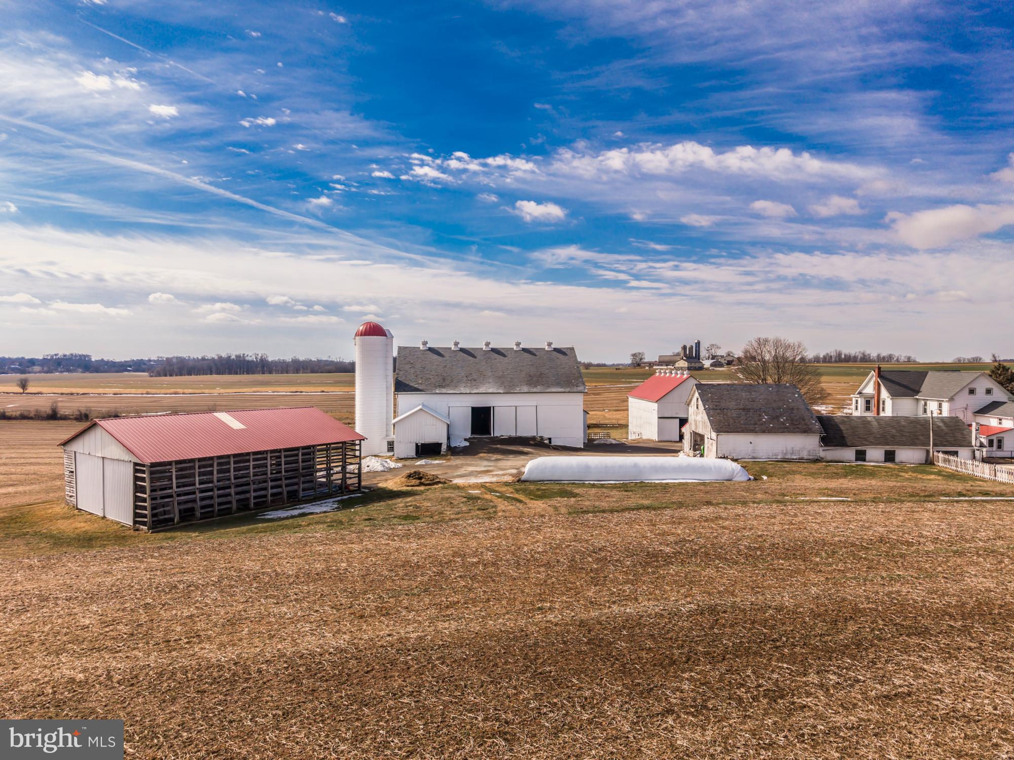 LITTLE BRITAIN - Farm