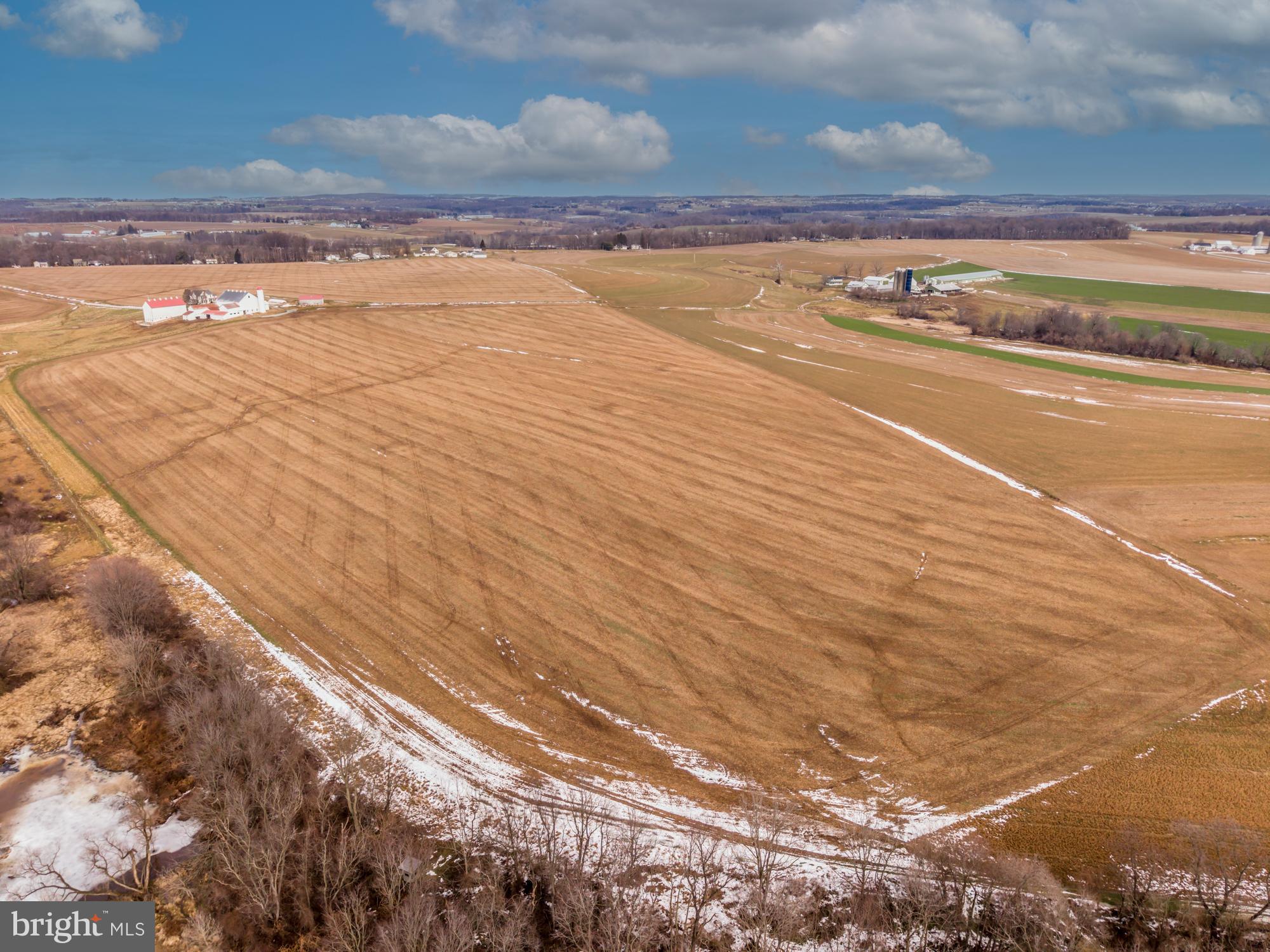LITTLE BRITAIN - Farm