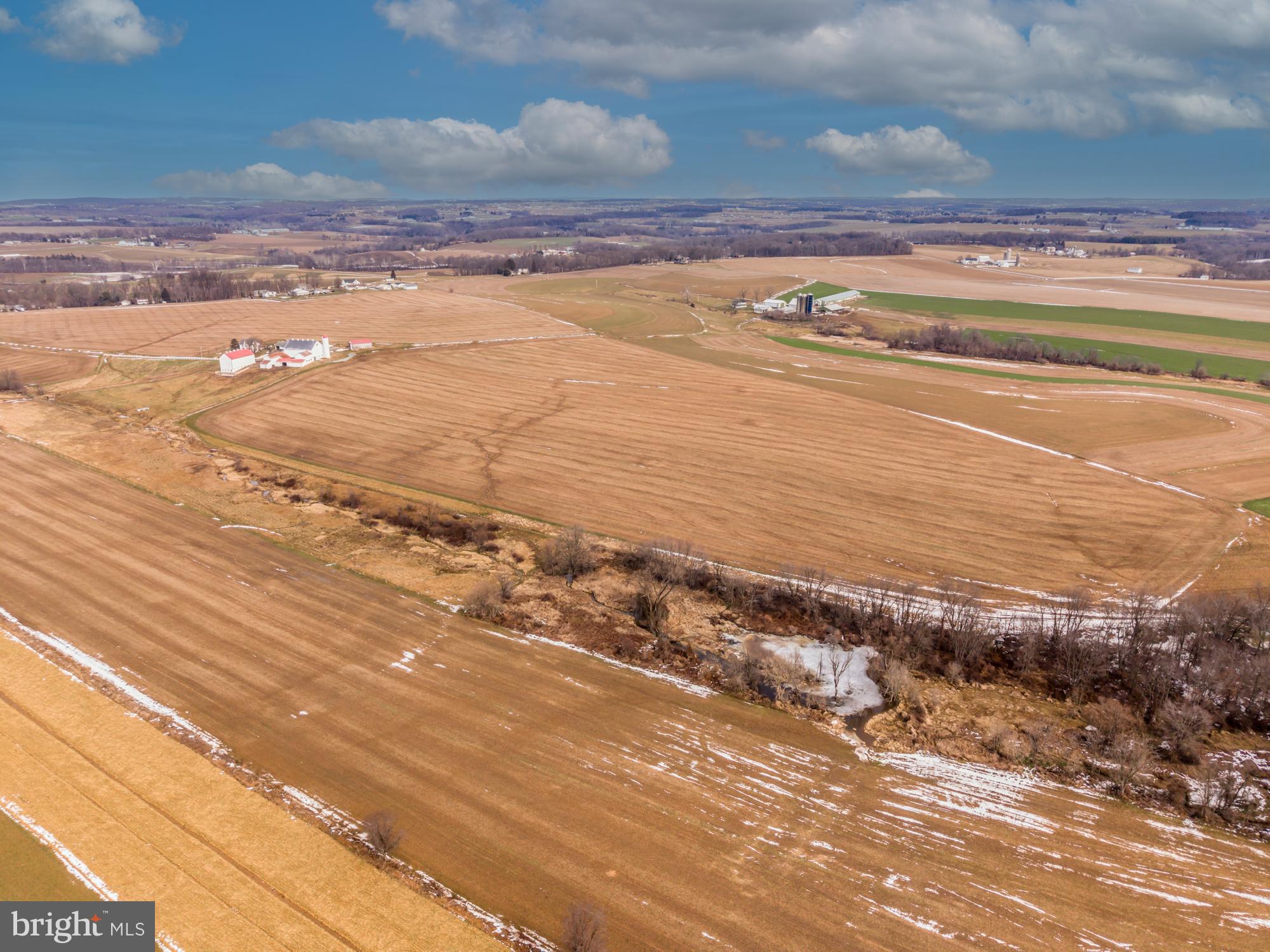 LITTLE BRITAIN - Farm