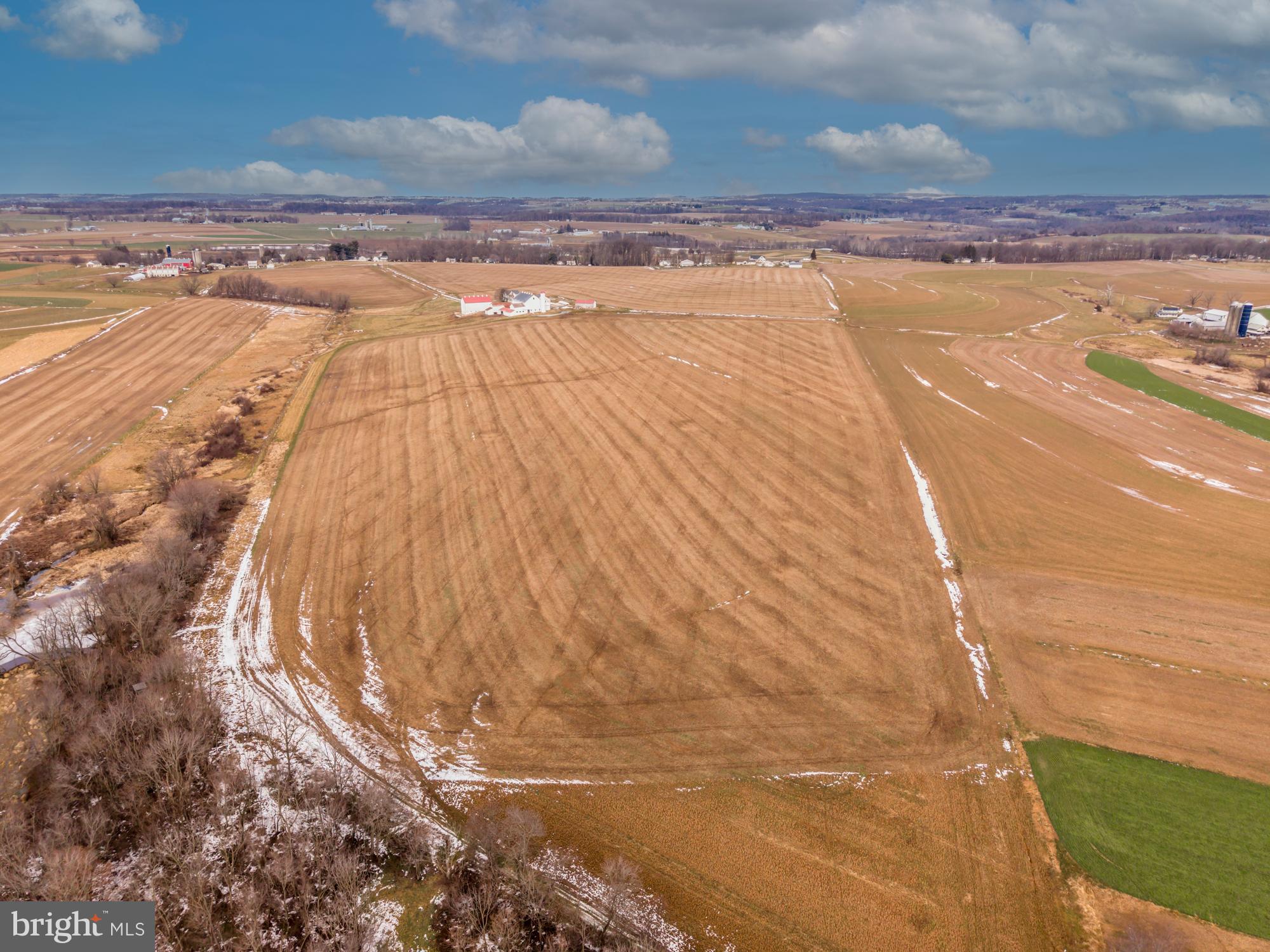 LITTLE BRITAIN - Farm