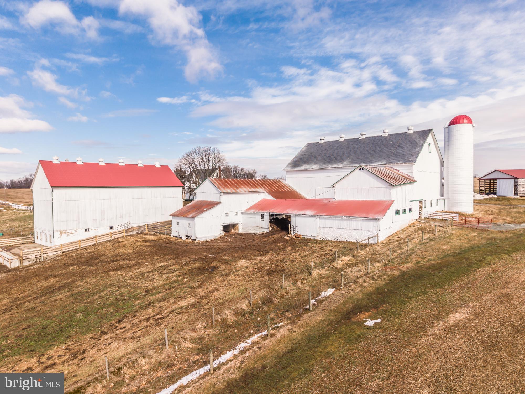 LITTLE BRITAIN - Farm