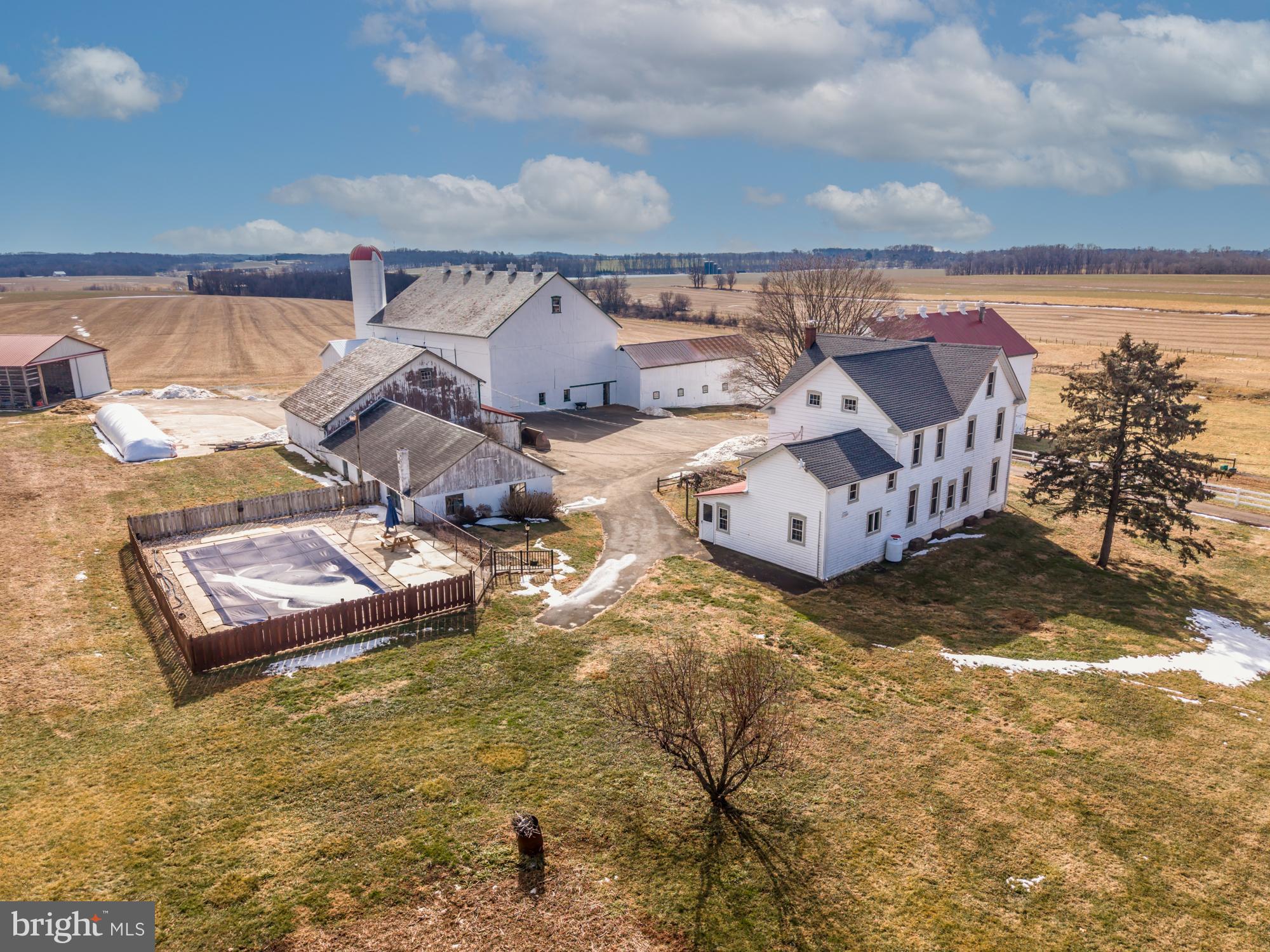 LITTLE BRITAIN - Farm