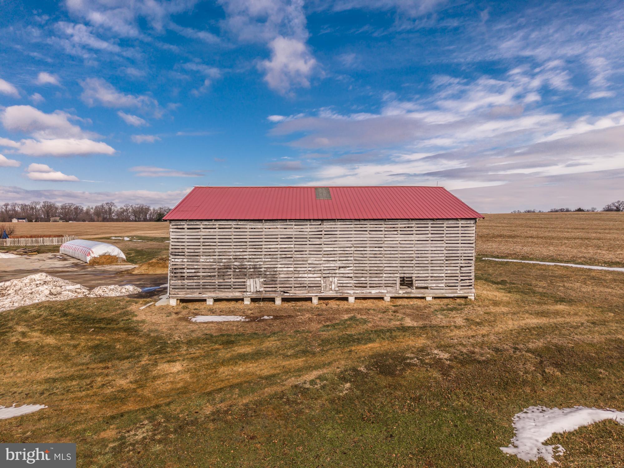 LITTLE BRITAIN - Farm