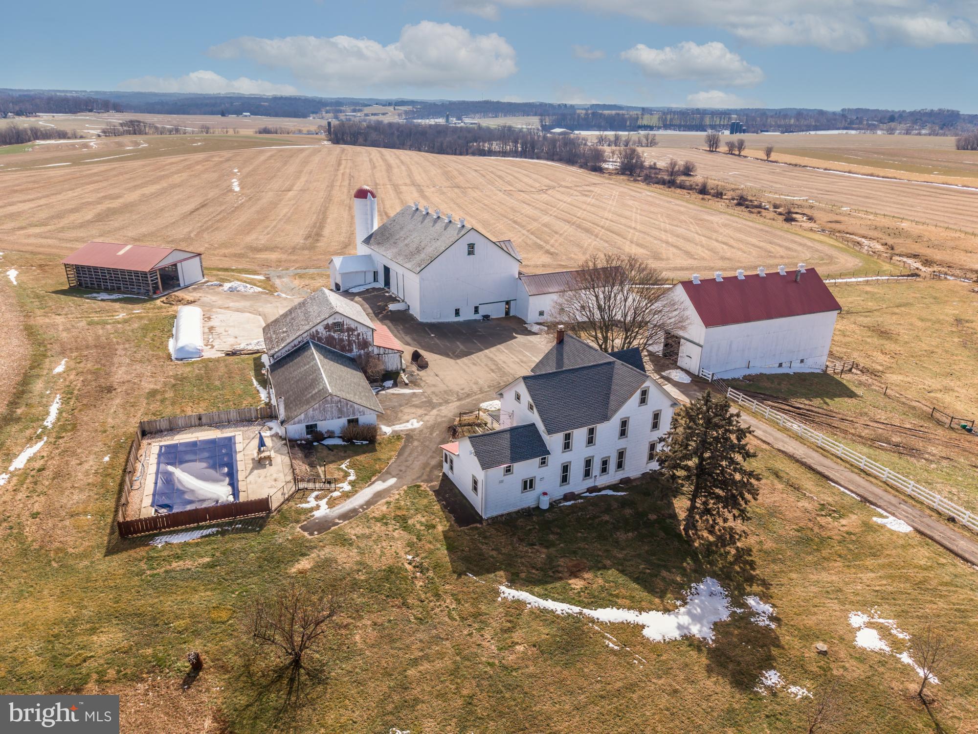 LITTLE BRITAIN - Farm