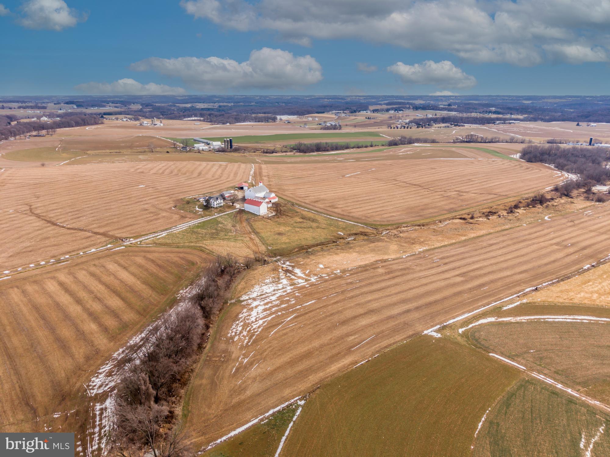 LITTLE BRITAIN - Farm