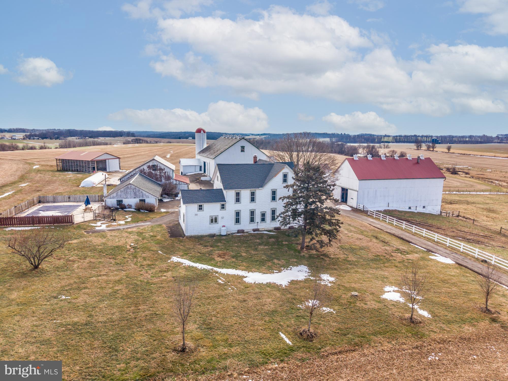 LITTLE BRITAIN - Farm