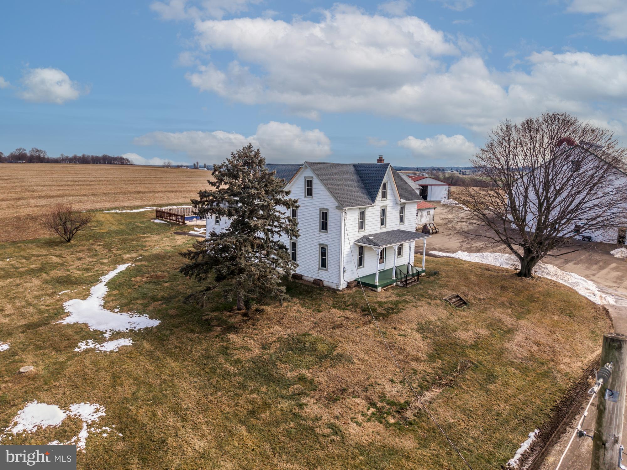 LITTLE BRITAIN - Farm