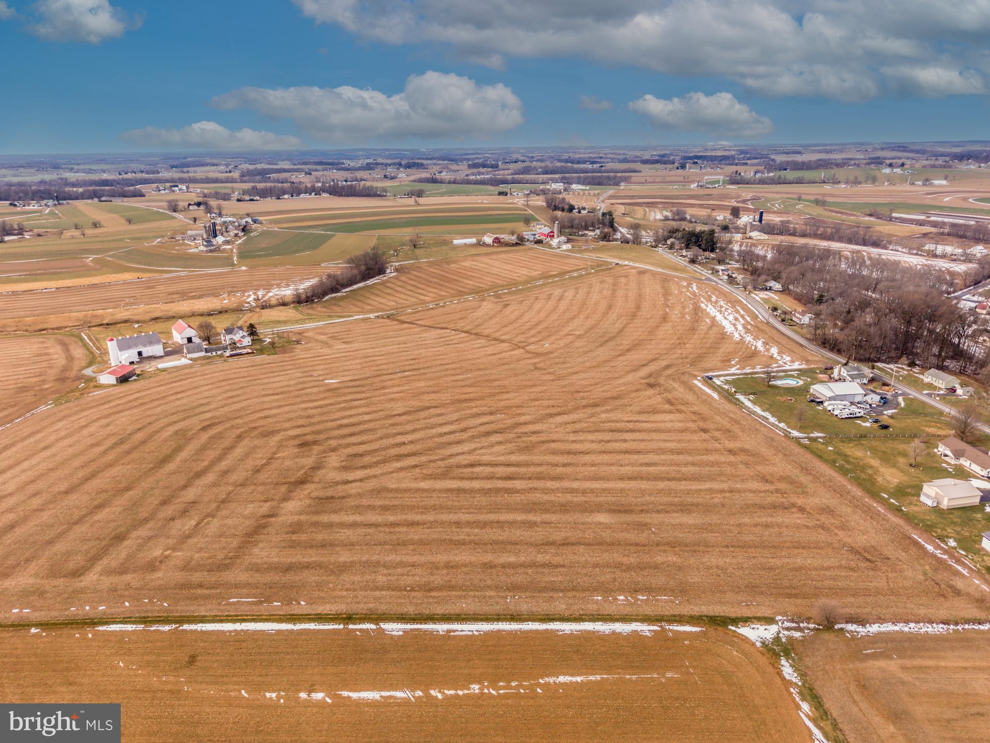 LITTLE BRITAIN - Farm
