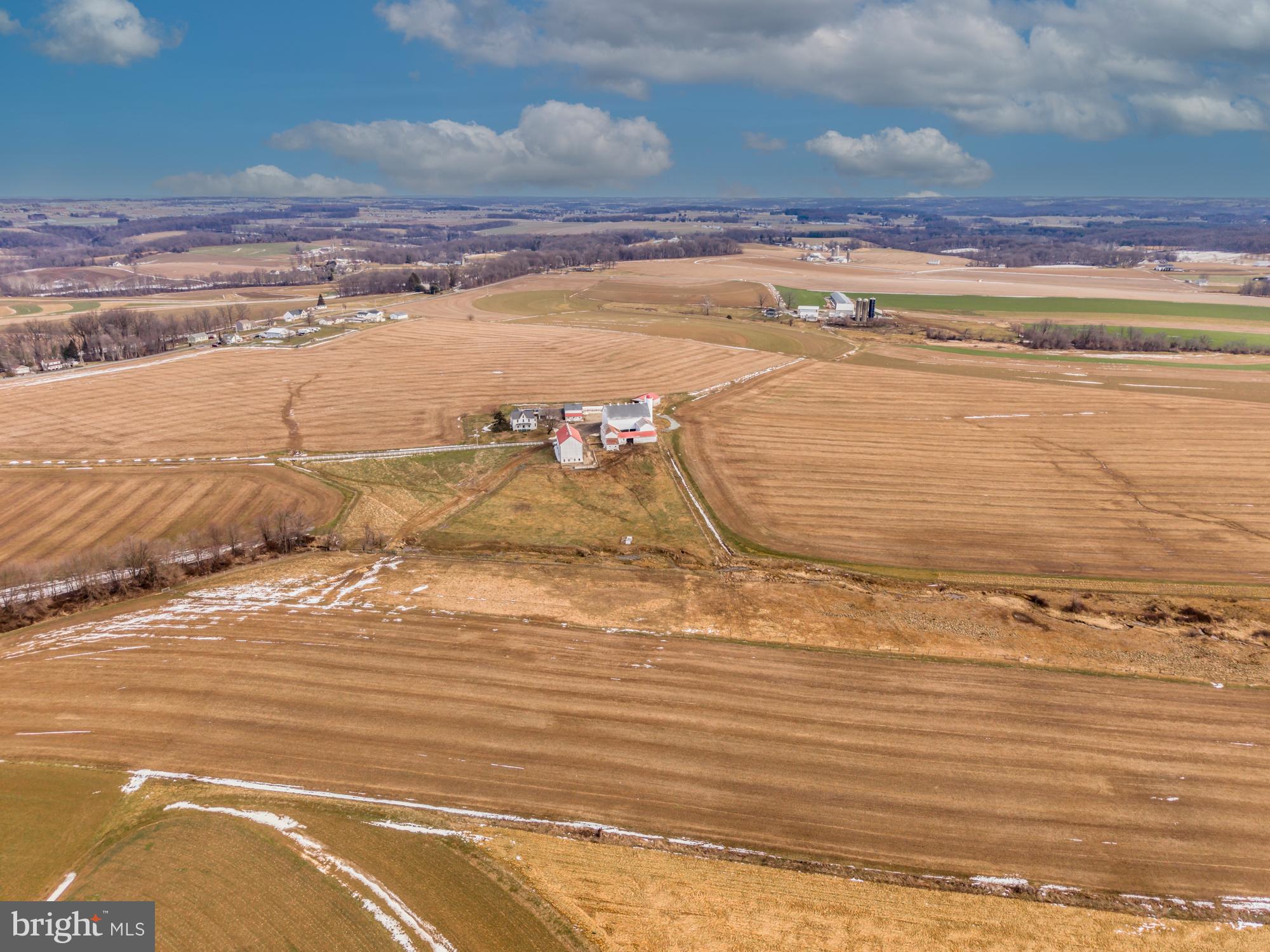 LITTLE BRITAIN - Farm