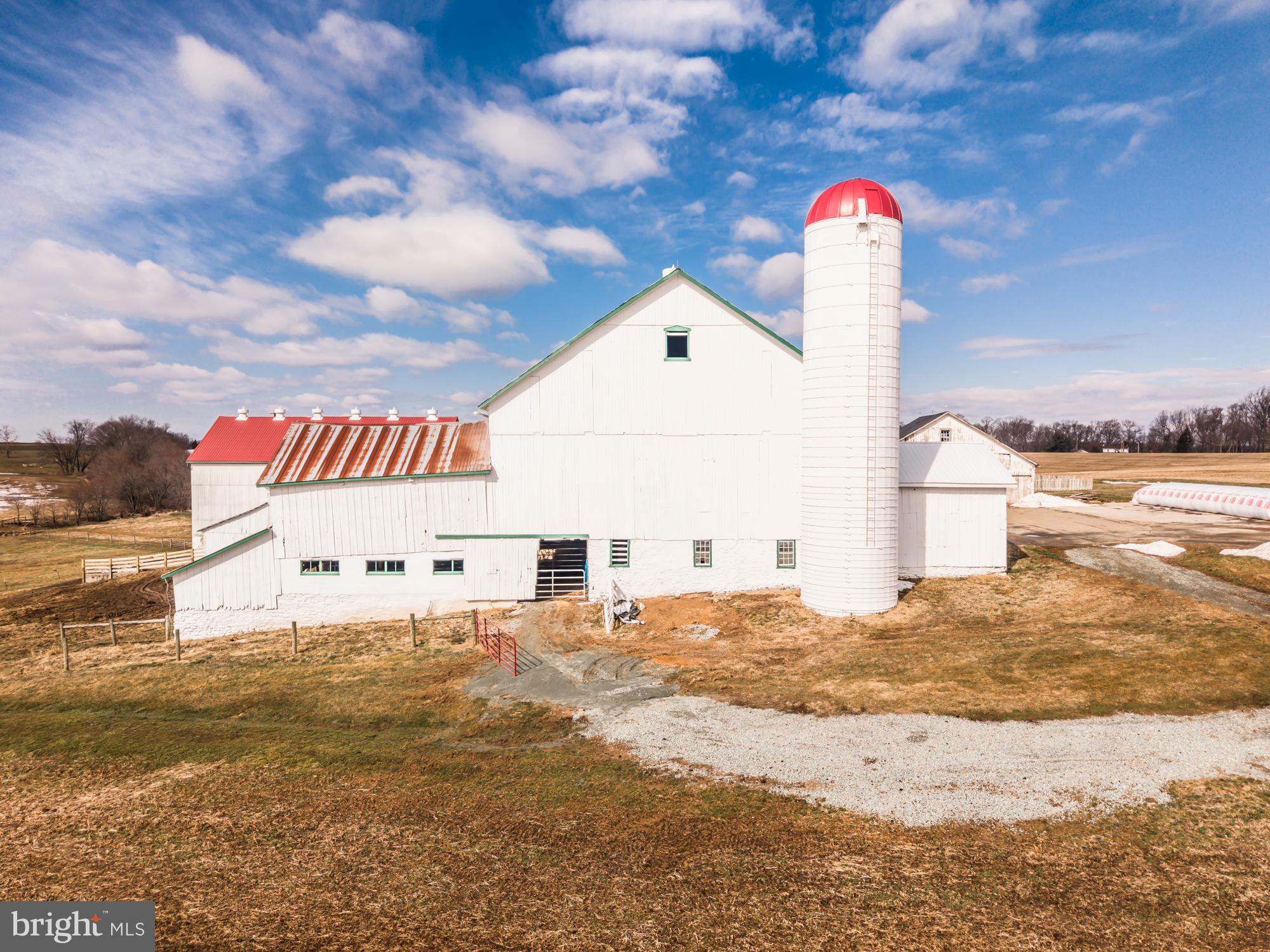 LITTLE BRITAIN - Farm