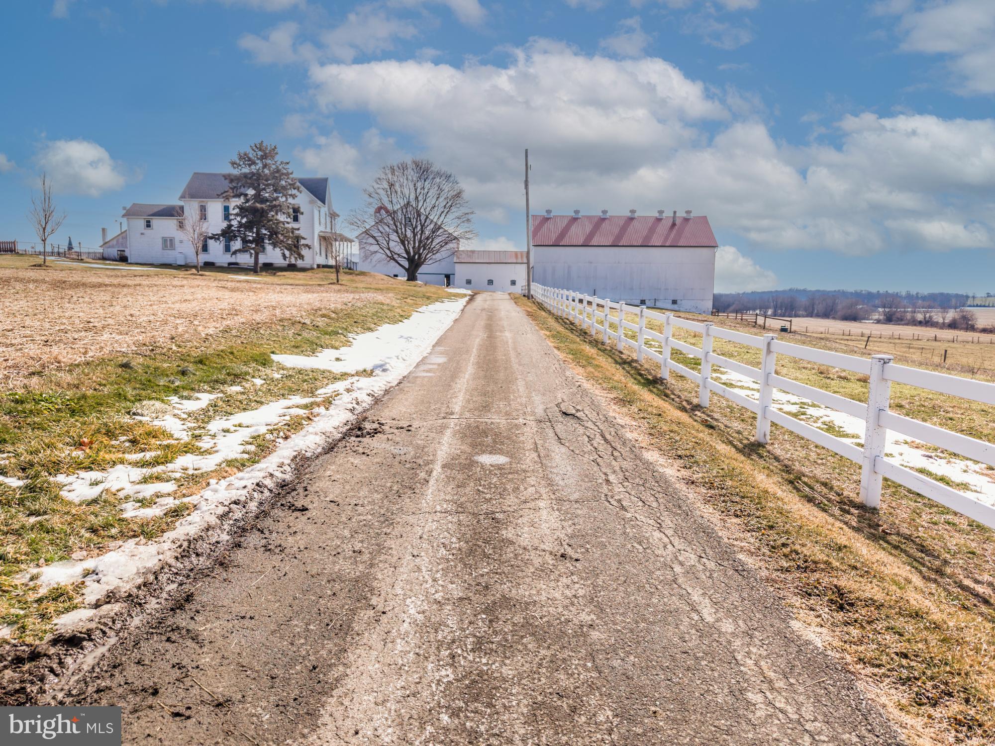 LITTLE BRITAIN - Farm