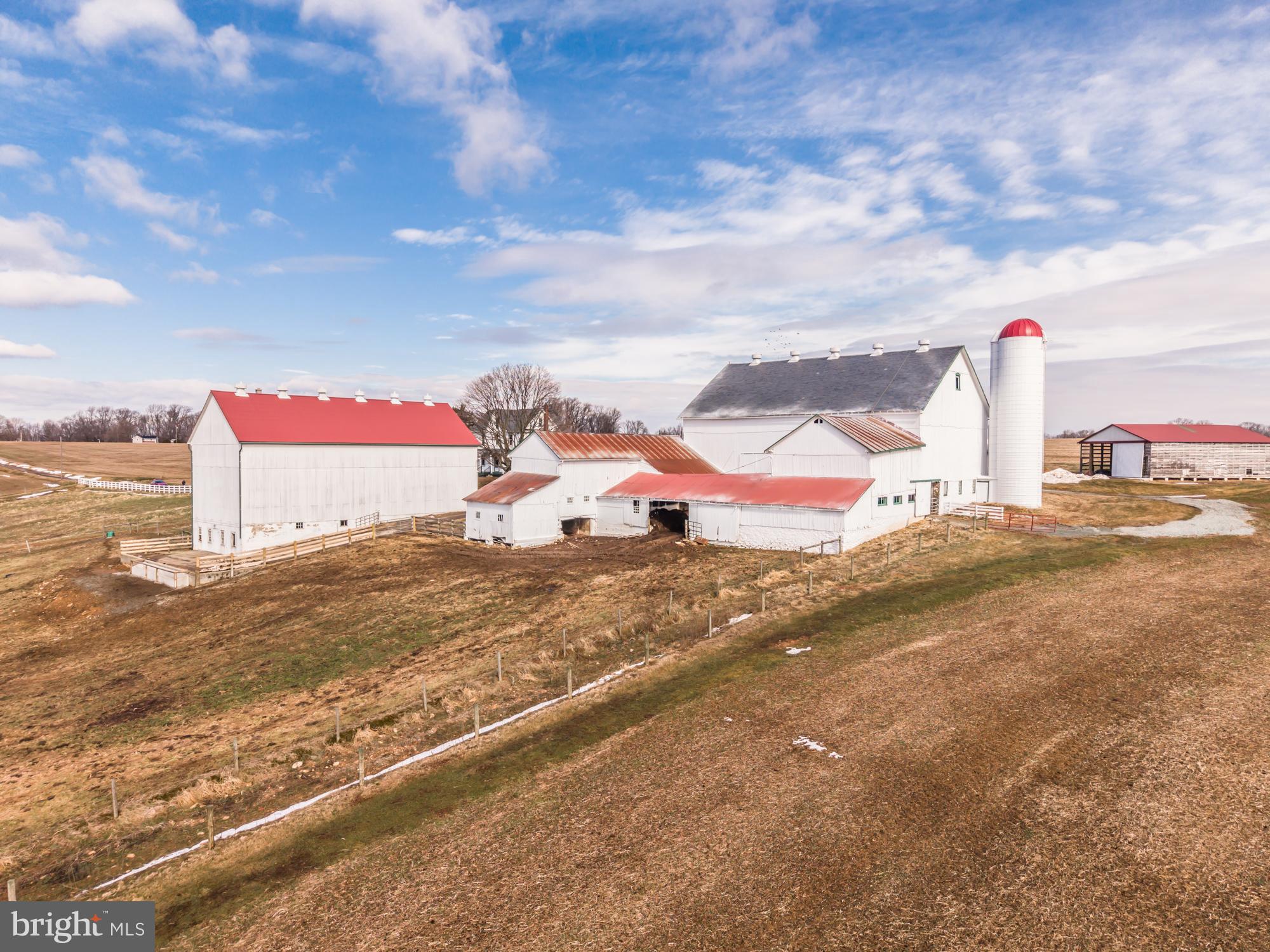 LITTLE BRITAIN - Farm