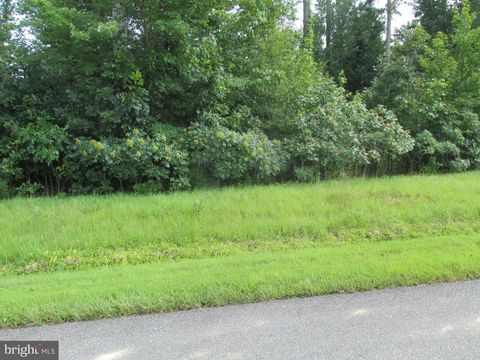 Vacant Land For Sale - Blue Sky Way<br/> BUMPASS, VA 23024
