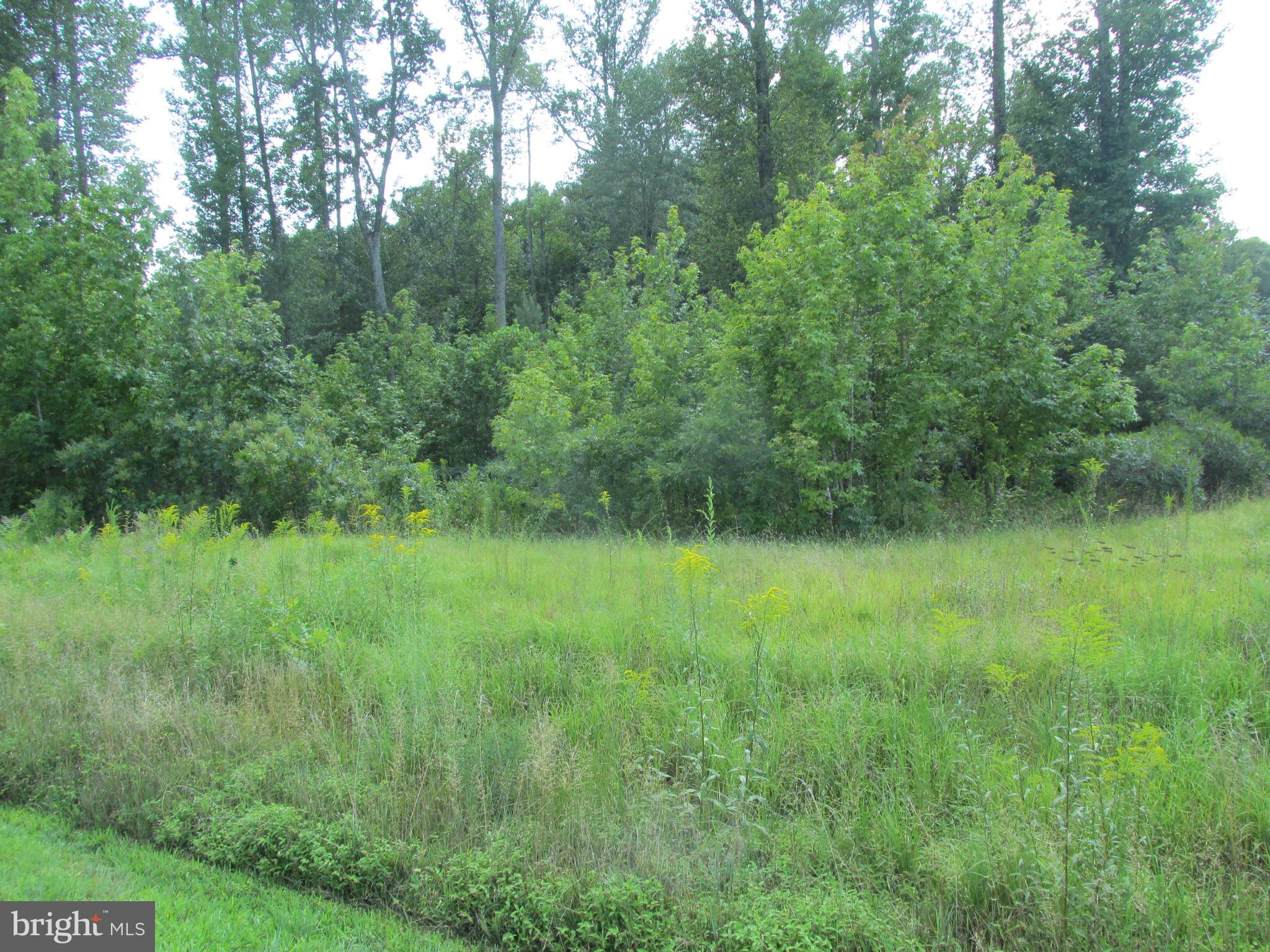 NOAH'S LANDING - Land