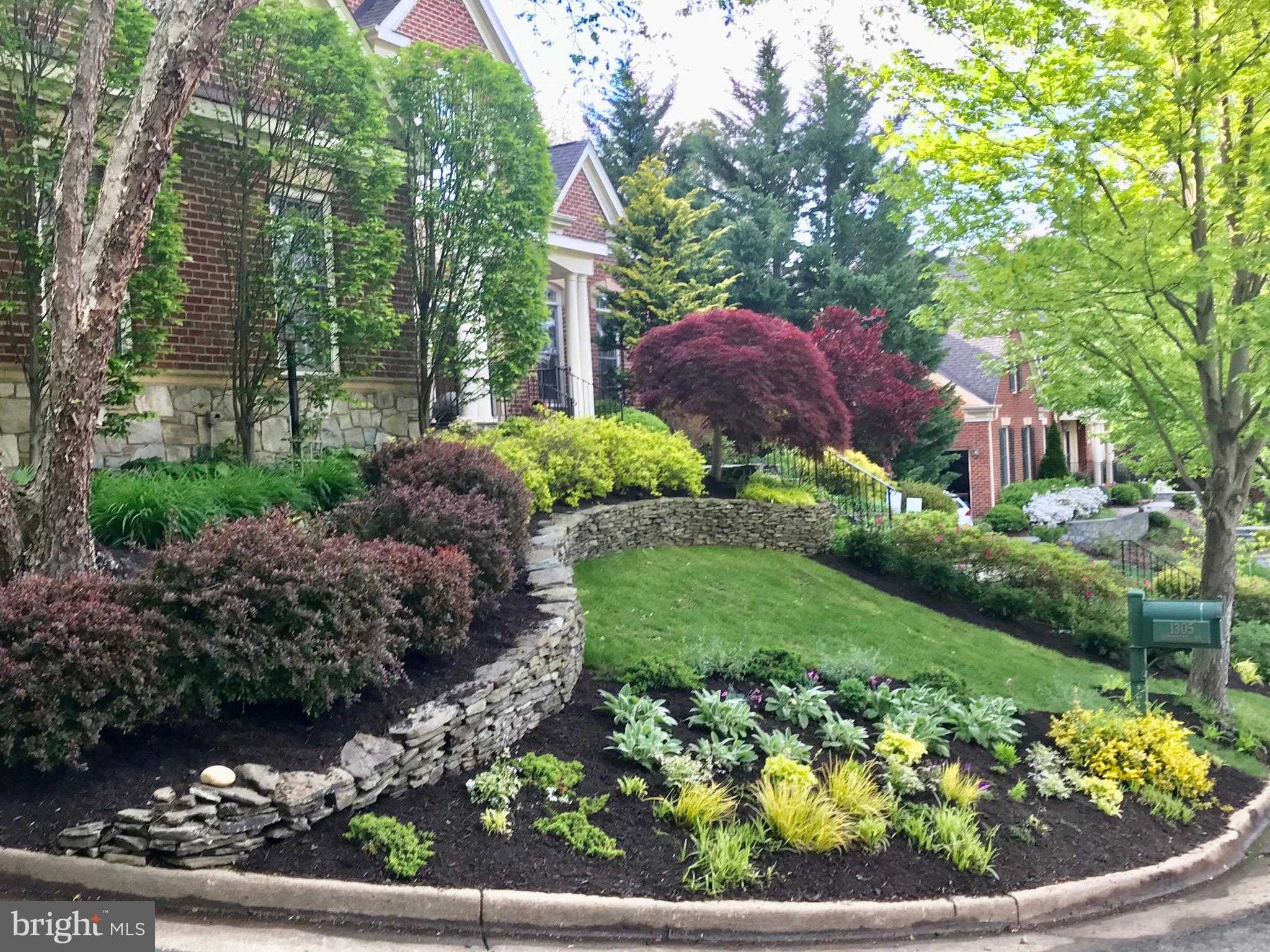 COLLEGE PARK - Residential