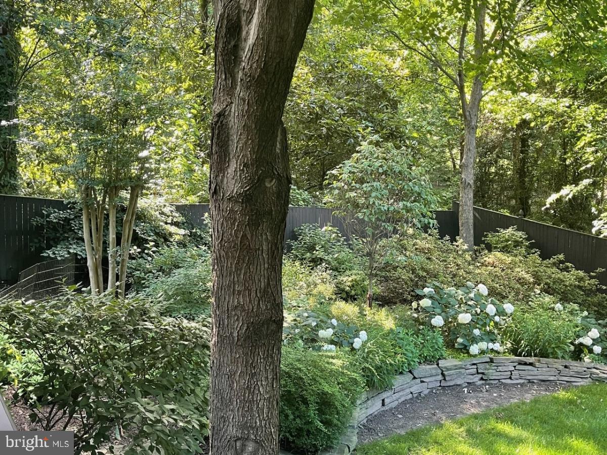 COLLEGE PARK - Residential