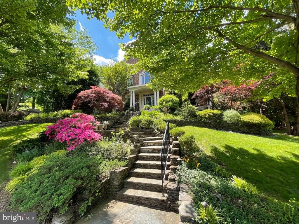 COLLEGE PARK - Residential