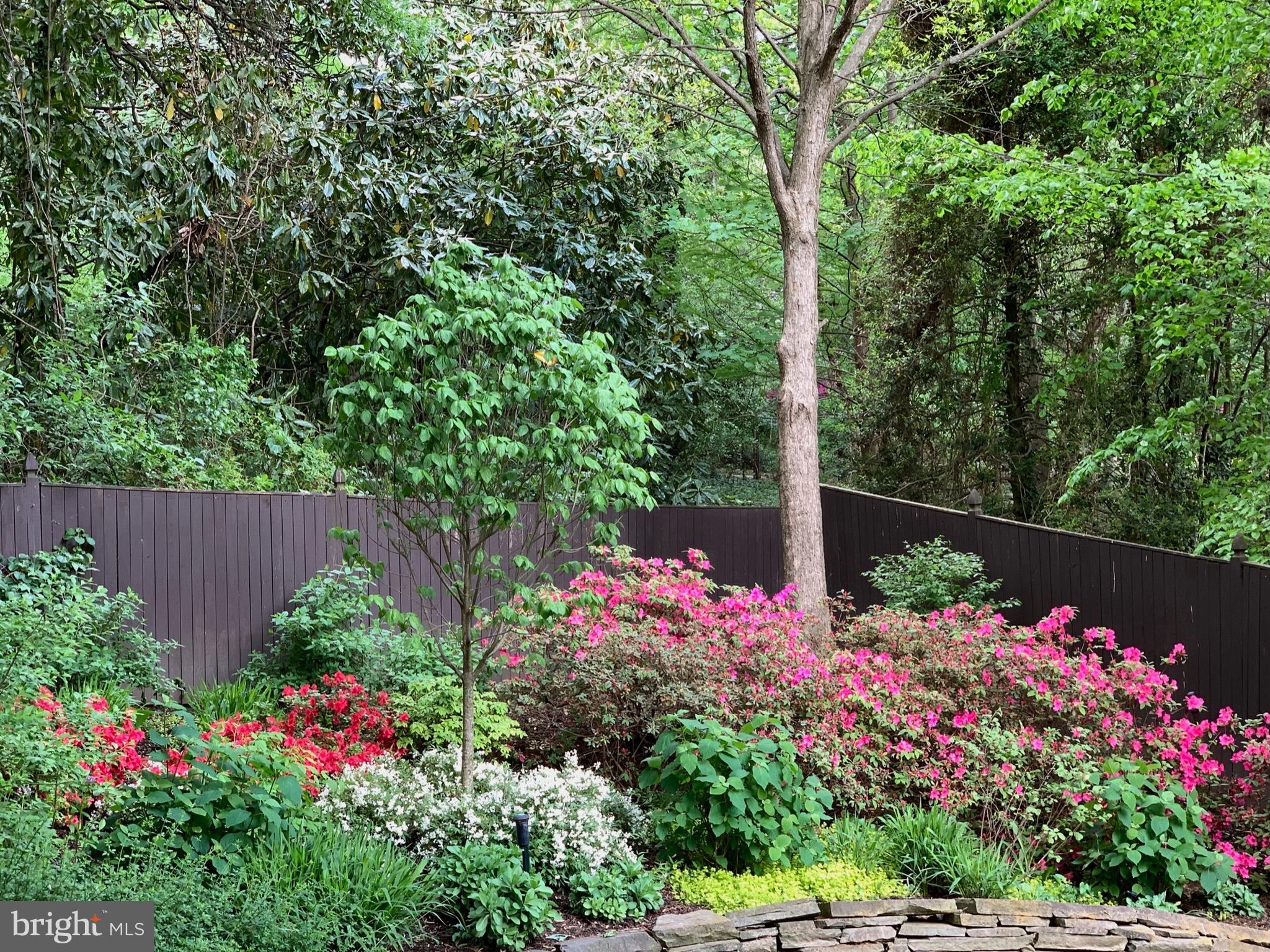 COLLEGE PARK - Residential