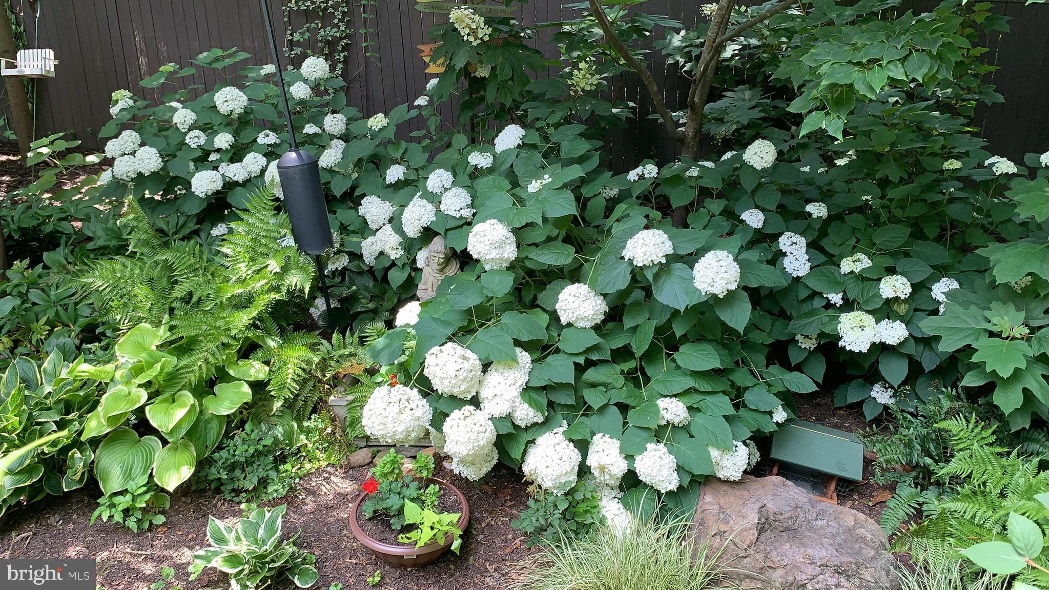 COLLEGE PARK - Residential