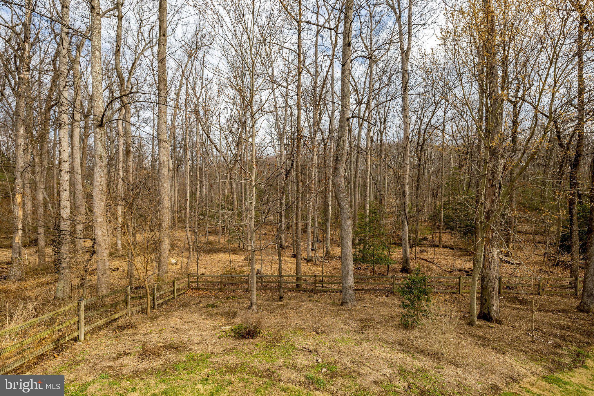 WOODSIDE ESTATES - Land