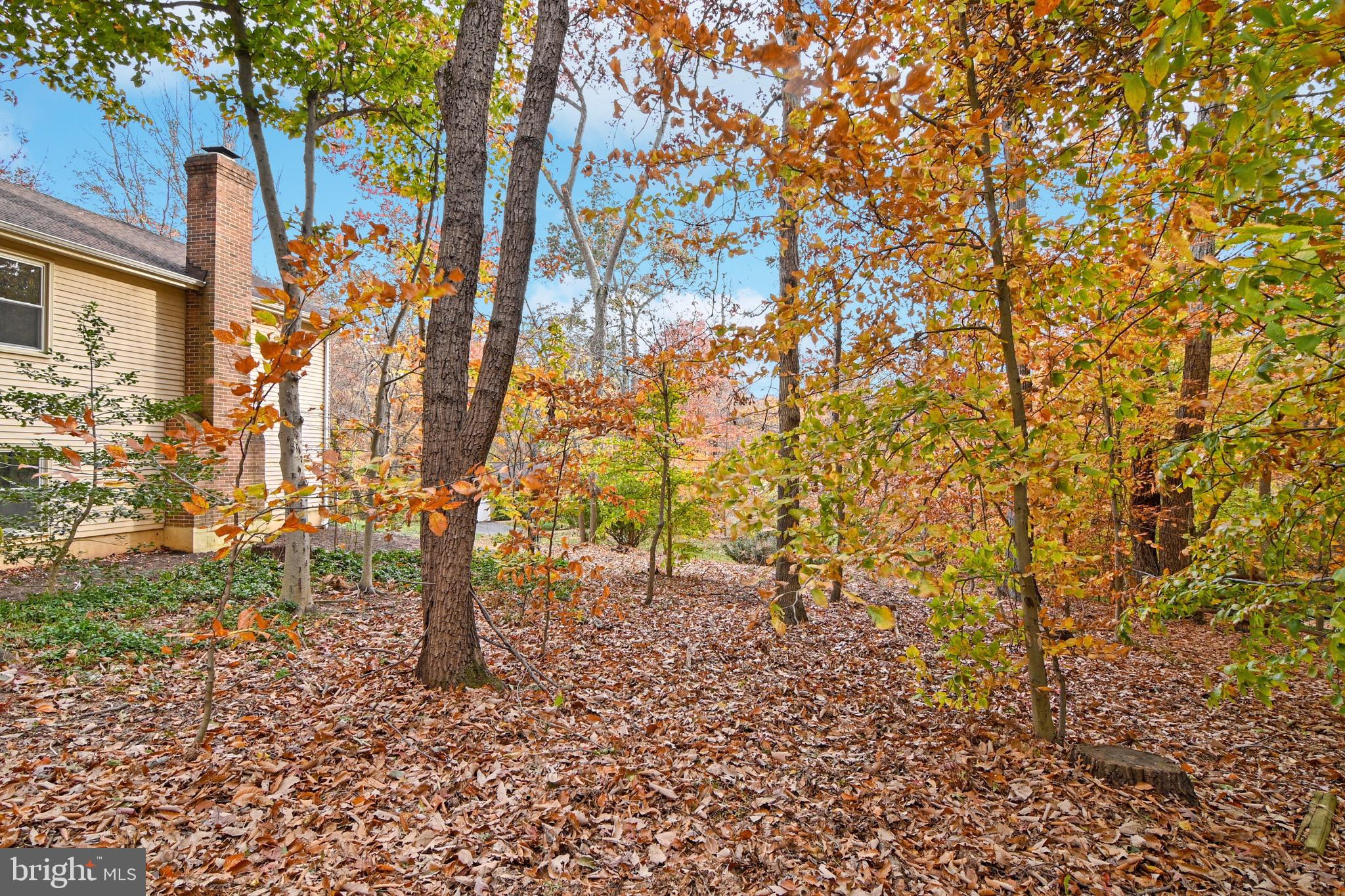 FAIRFAX STATION - Residential