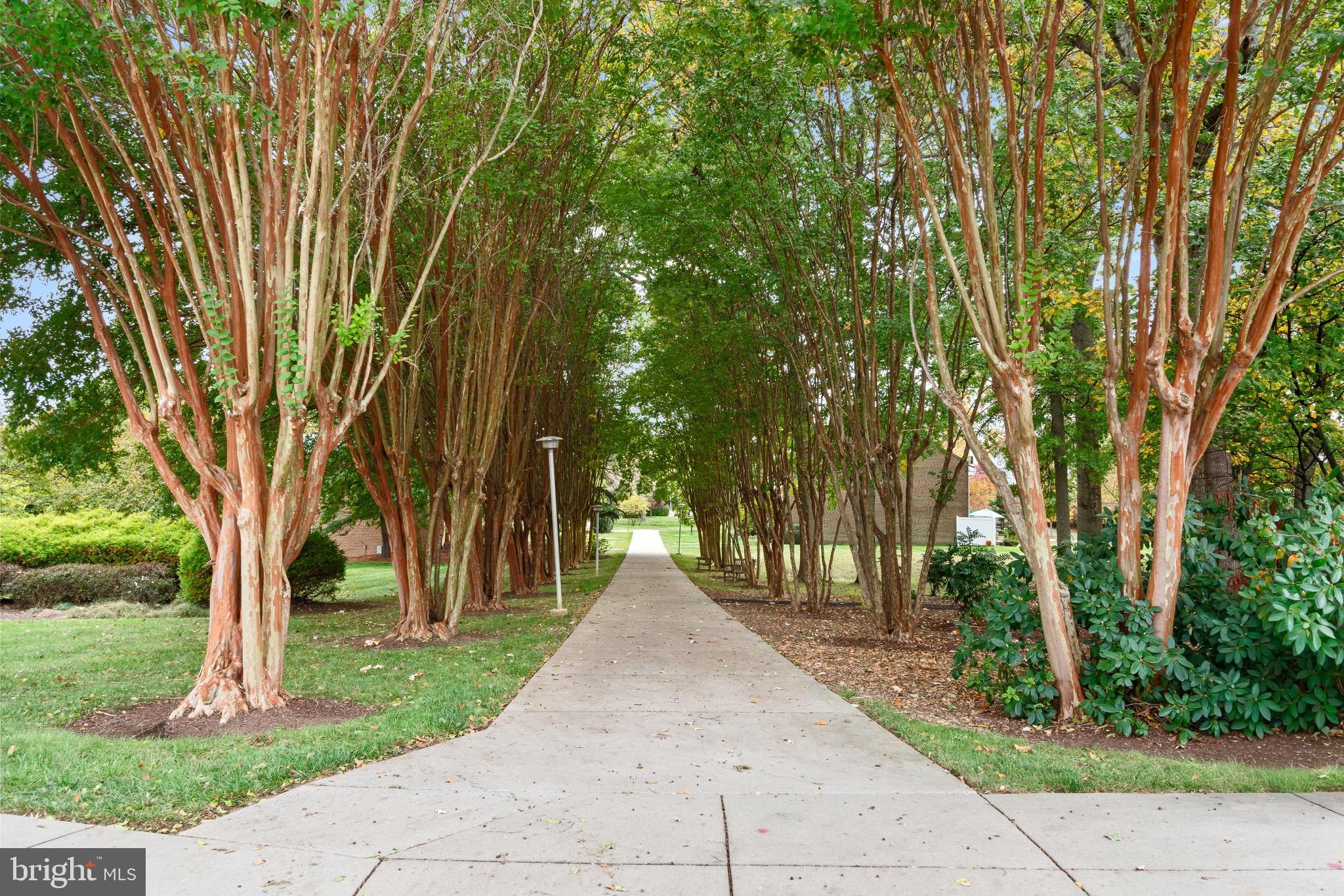 TURNBERRY COURTS AT LEIS - Residential