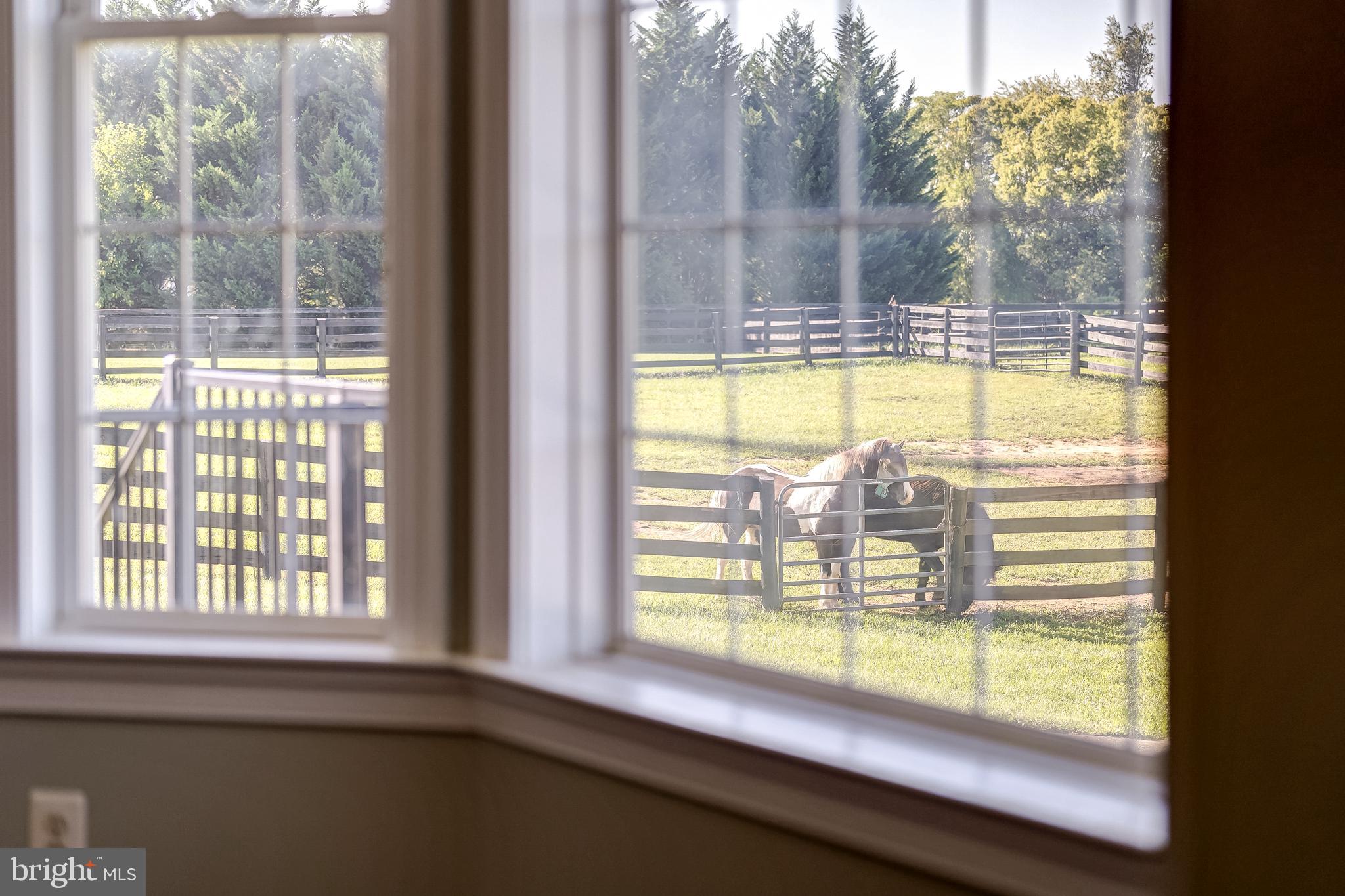 WILLOWIN FARM - Residential