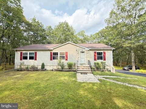 3124 BLUEBIRD DRIVE BUSHKILL PA 18324