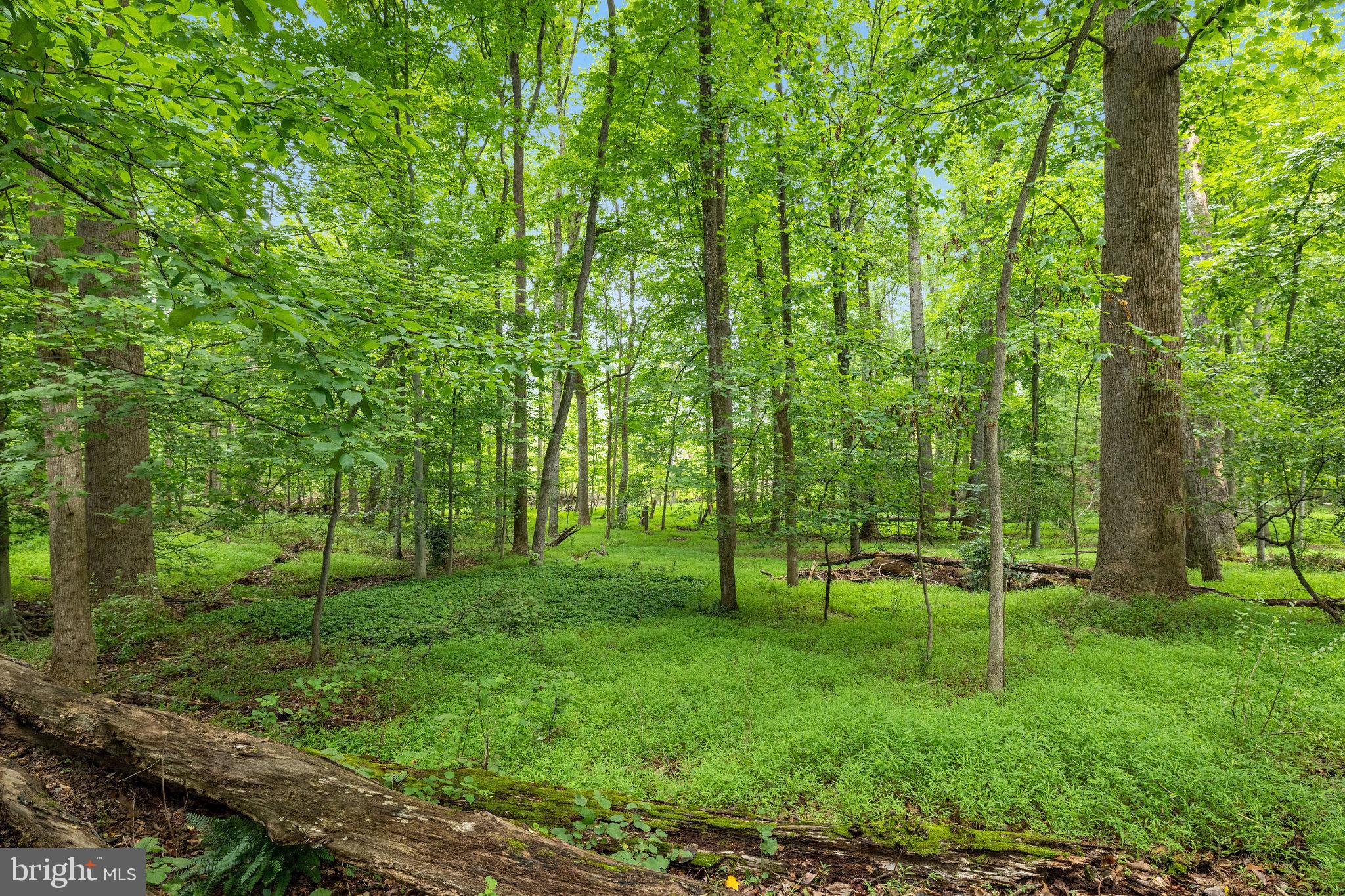 TATTERSALL - Residential