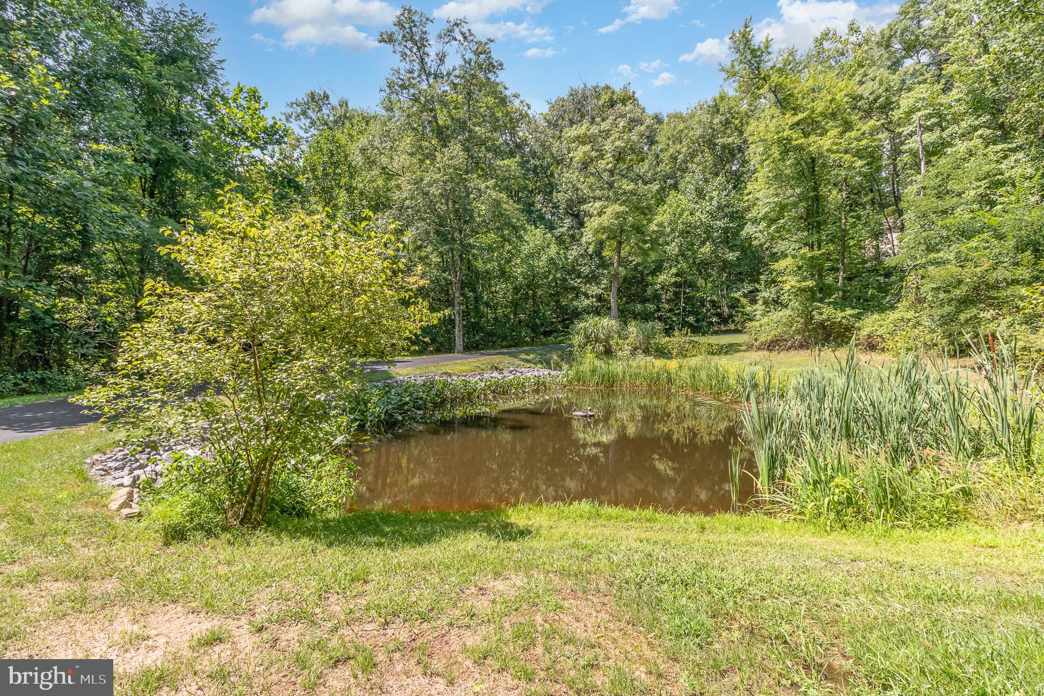 WILLOW LAKE - Residential