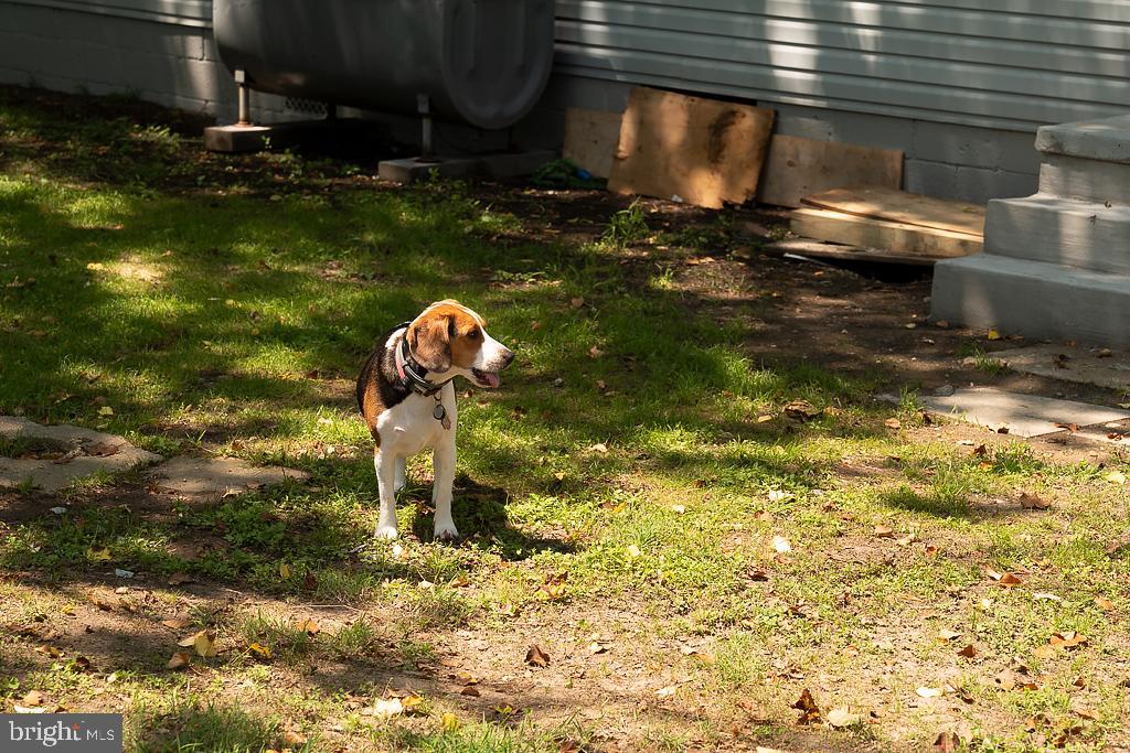 NORTH CHESAPEAKE BEACH - Residential