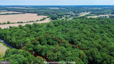 Vacant Land For Sale - 262 White Marsh Road<br/> CENTREVILLE, MD 21617