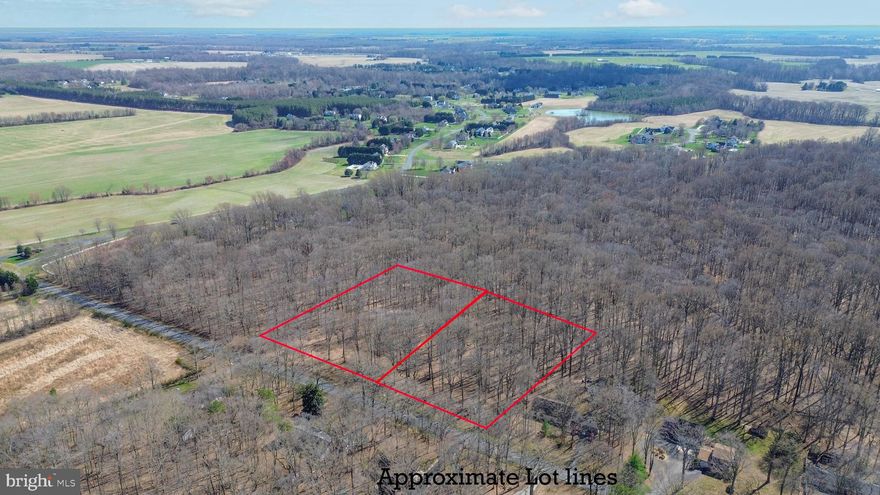 Looking to build your your dream home in the sought after Centreville area? The owner is having this lot perced currently and should have an approval by May so contracts can be contingent upon the approval. Beautiful wooded location in a country setting yet close to Centreville and just around the corner from county parks and trails. So far soils and water table may allow for a basement on this lot. Needs 2 lots? There is another 1 acre lot next to this one.  Hurry before its gone!