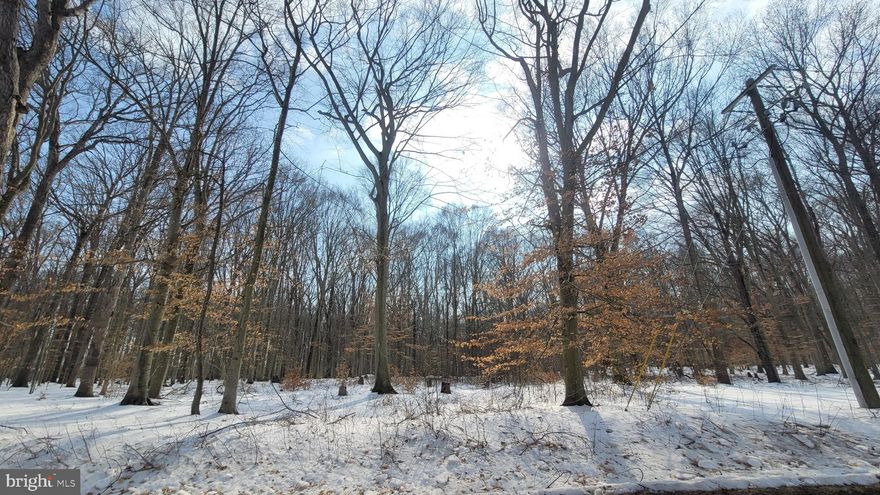 Looking to build your own home in the sought after Centreville area? The owner is having this lot perced currently and should have an approval by May so contracts can be contingent upon the approval. Beautiful wooded location in a country setting yet close to Centreville and just around the corner from county parks and trails. So far soils and water table may allow for a basement on this lot. Lot corners will be marked and sign on the property by 2/17.  Hurry before its gone!