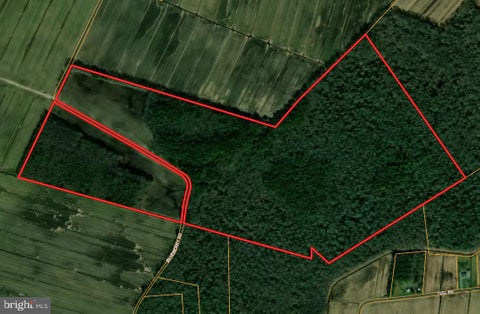 Vacant Land For Sale - Blueberry Road<br/> WHALEYVILLE, MD 21872