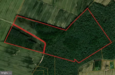 MLS: MDWO2036424
