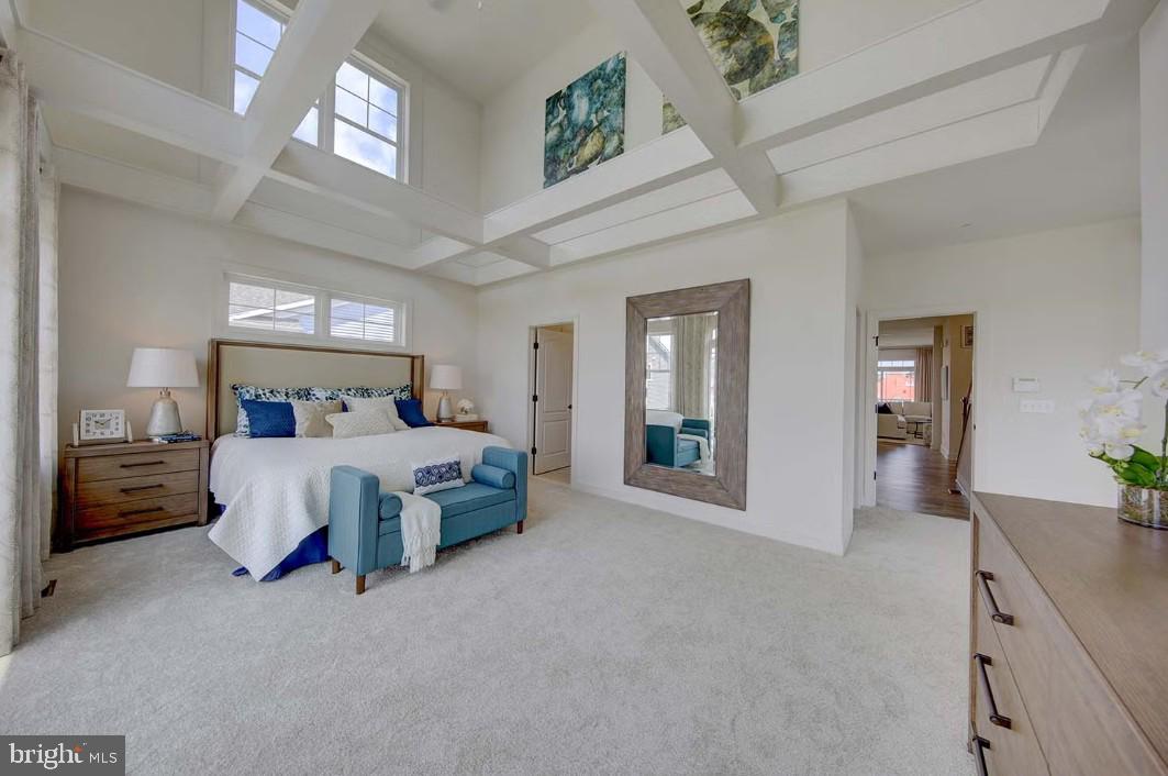 LITTLE SALISBURY - Residential