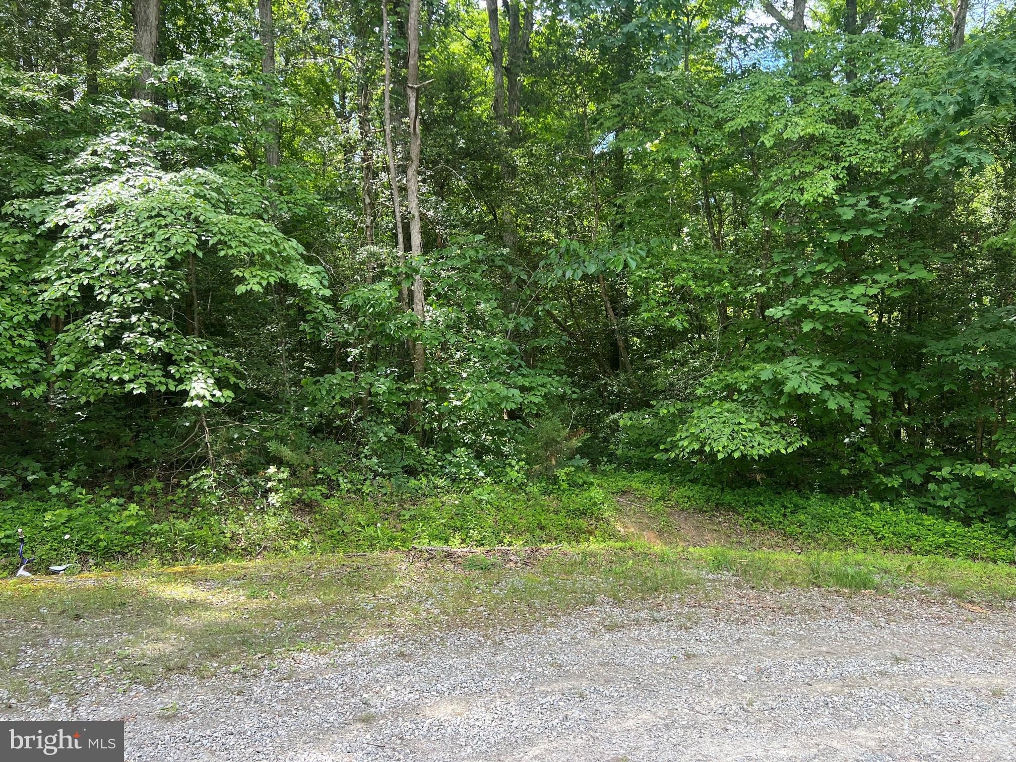 5517 FOREST VIEW DRIVE
