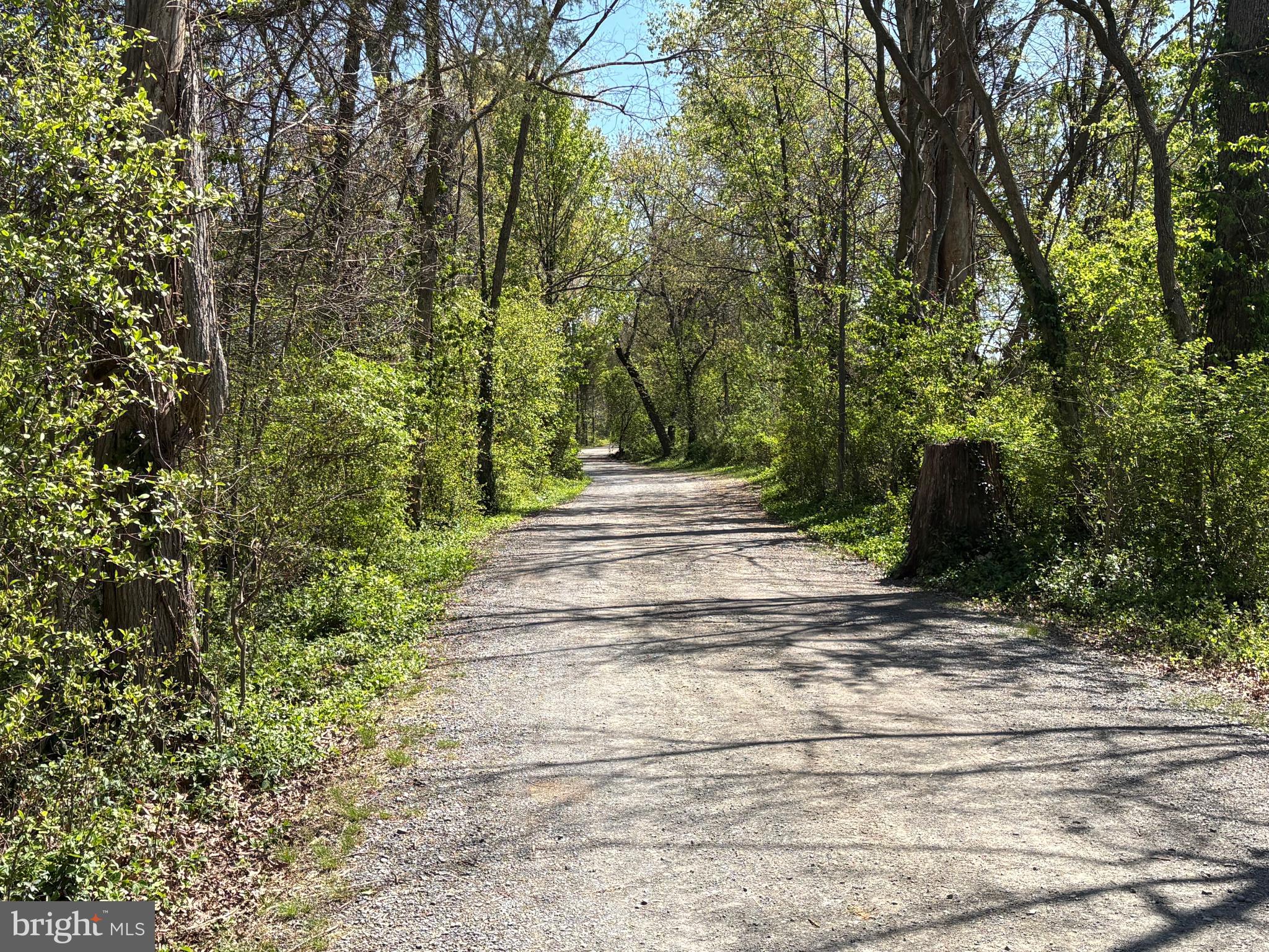BORNEHAM WOOD - Residential