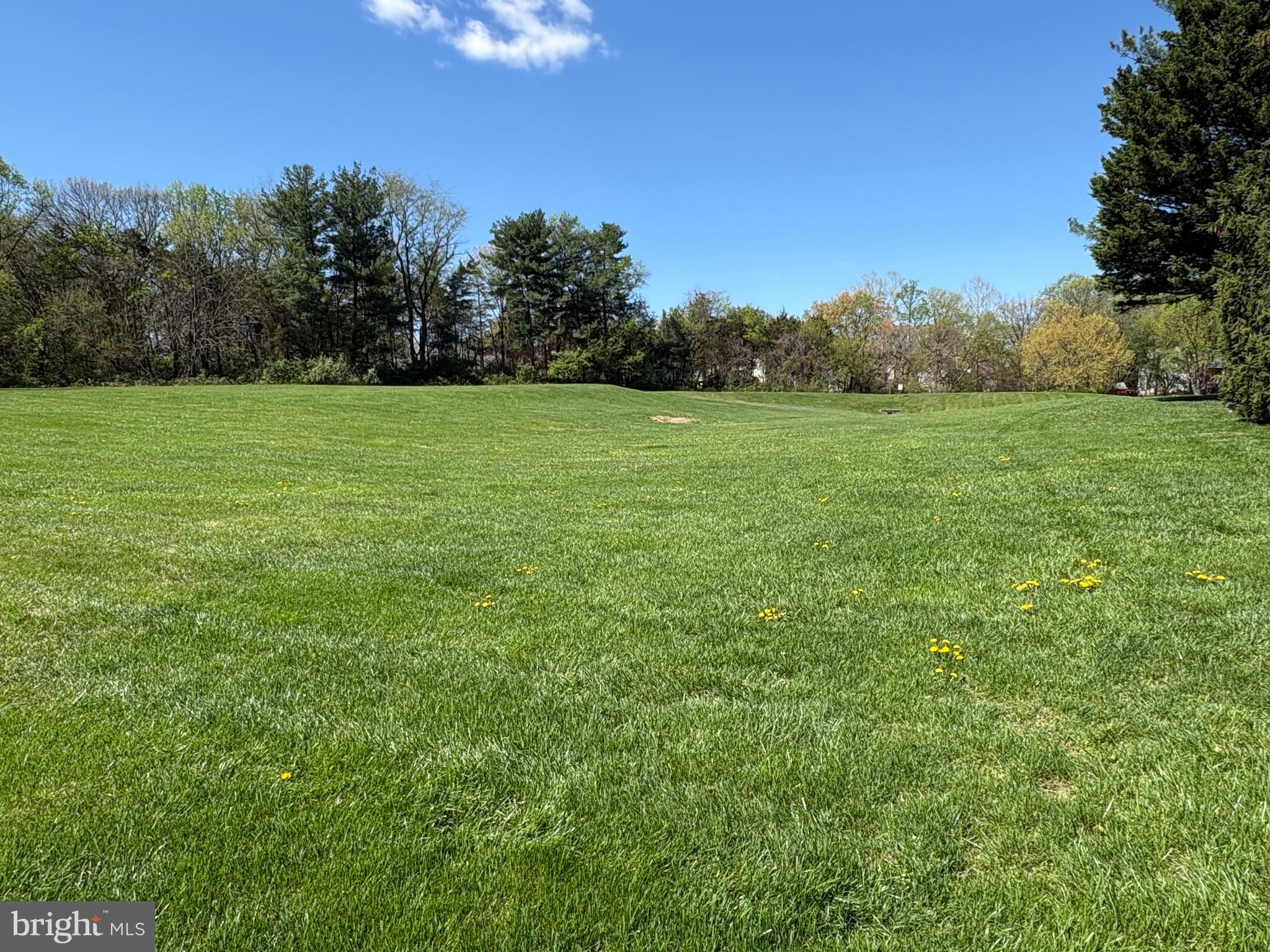 BORNEHAM WOOD - Residential