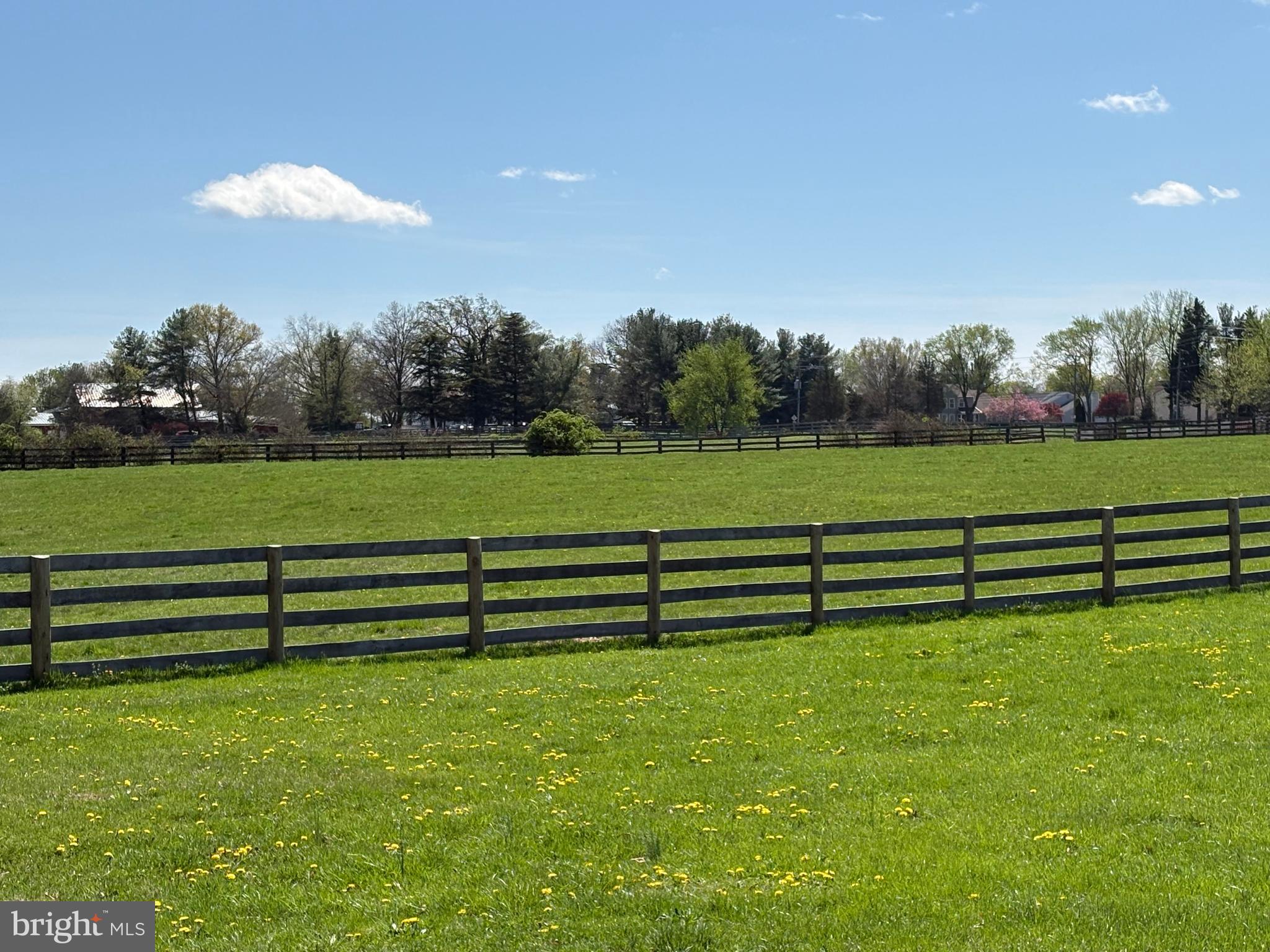 BORNEHAM WOOD - Residential