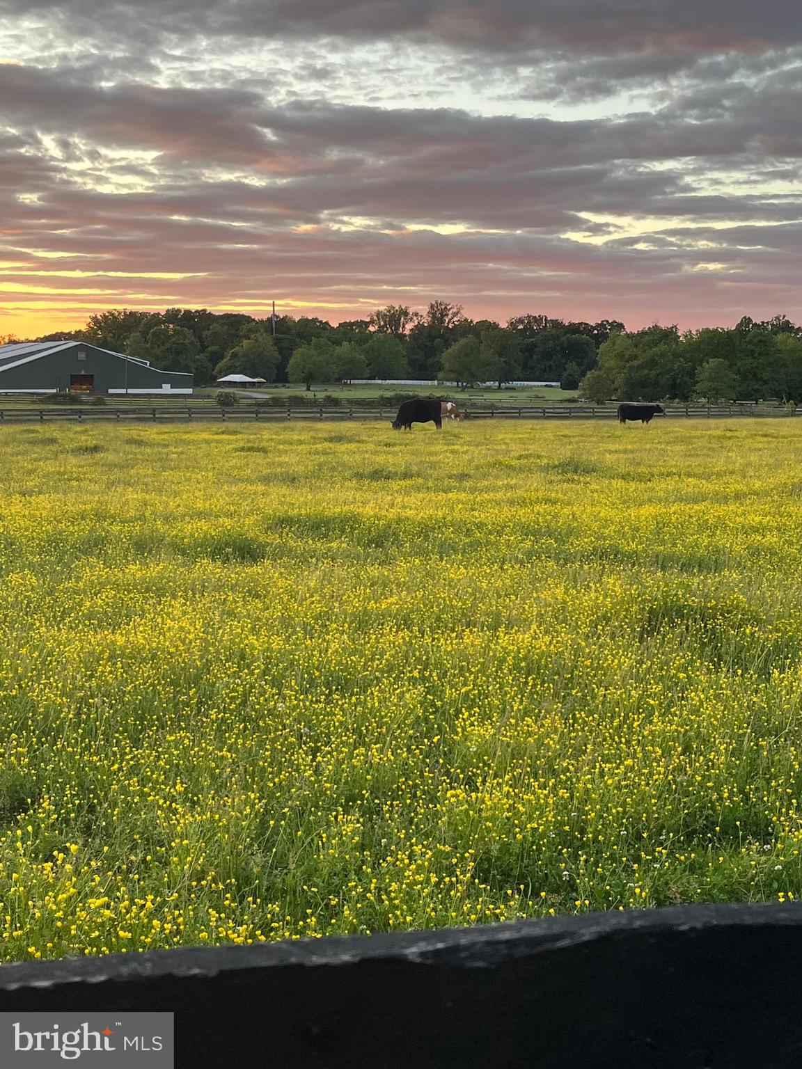 BORNEHAM WOOD - Residential